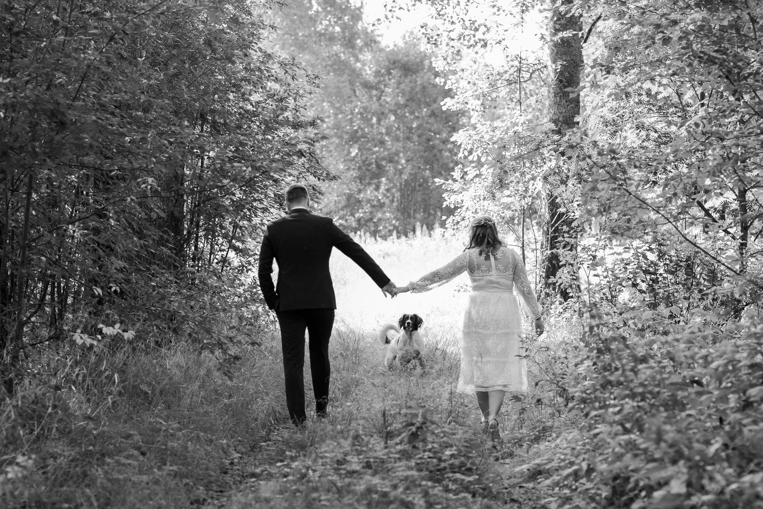 Black and white silhouette of a couple walking through a tree-lined path with their dog.
