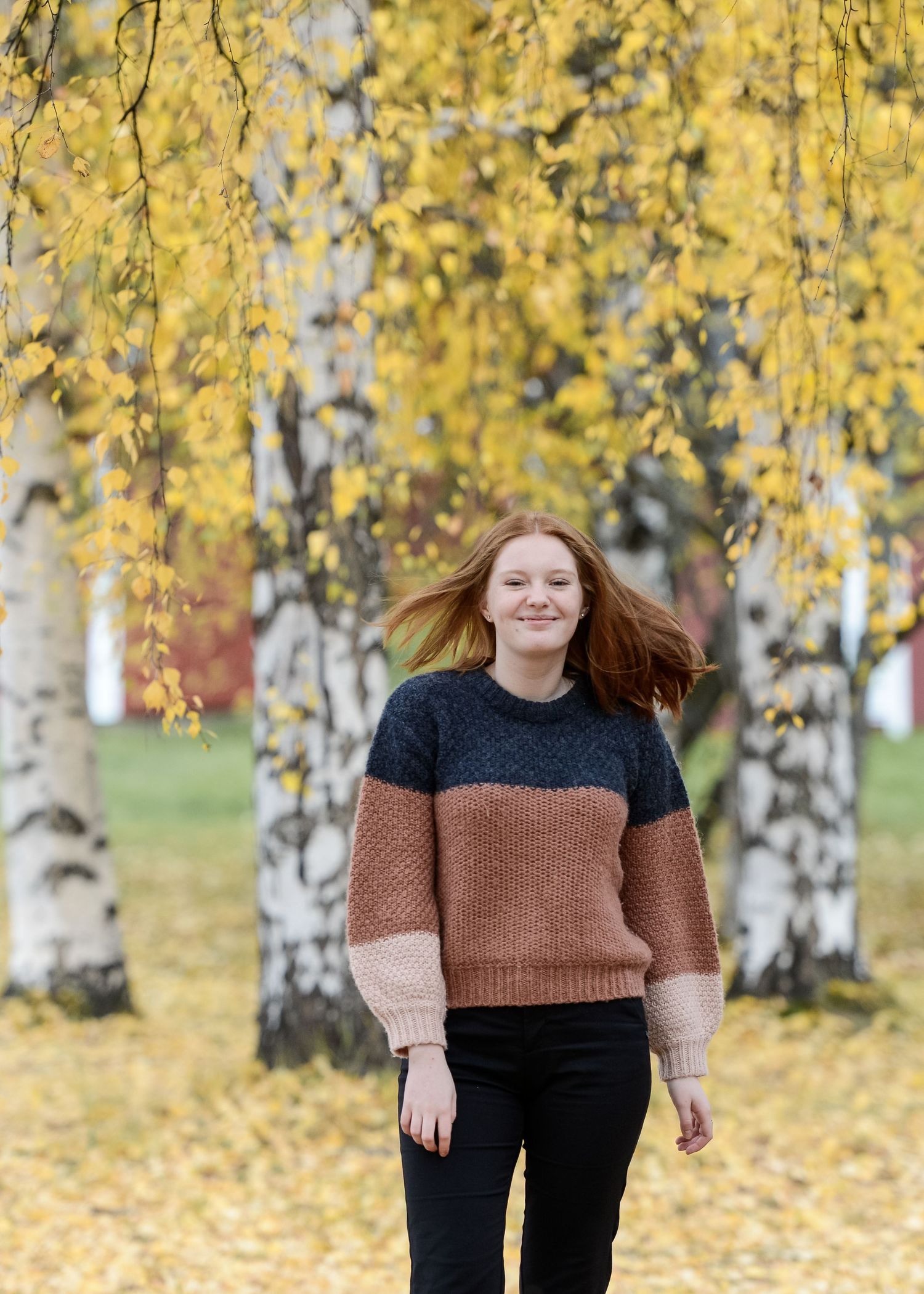 Young redhead woman in colorful knit sweater walks through birch tree alley with golden autumn leaves.