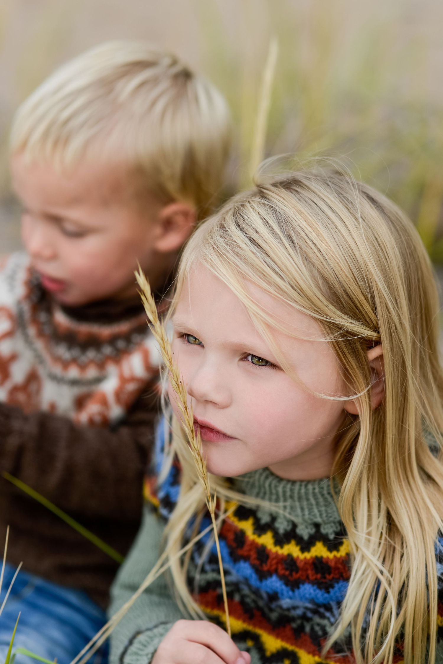 Close-up portrait of children in patterned sweaters among tall grass.
