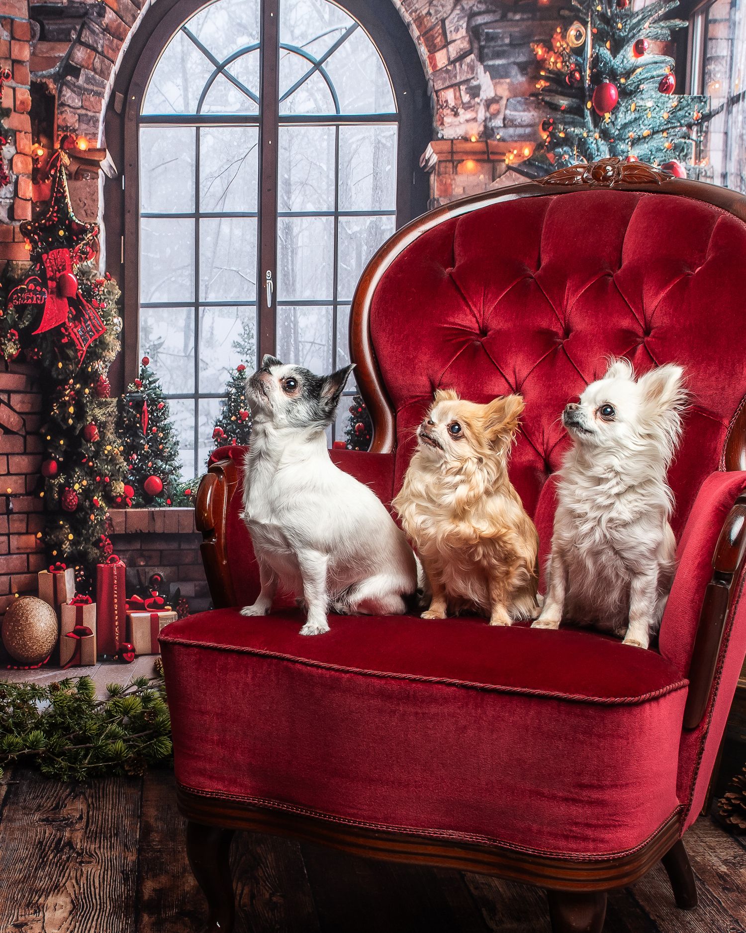 Row of cats sitting on red velvet couch against brick wall with Christmas decorations.