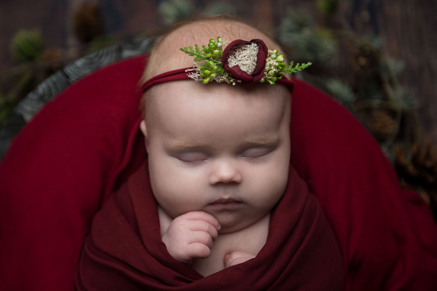 Festive holiday newborn portrait with evergreen crown against deep red backdrop.