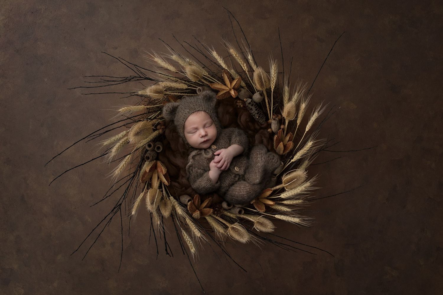 Artistic newborn photos showing baby nestled in rustic spiral nest made of natural materials.