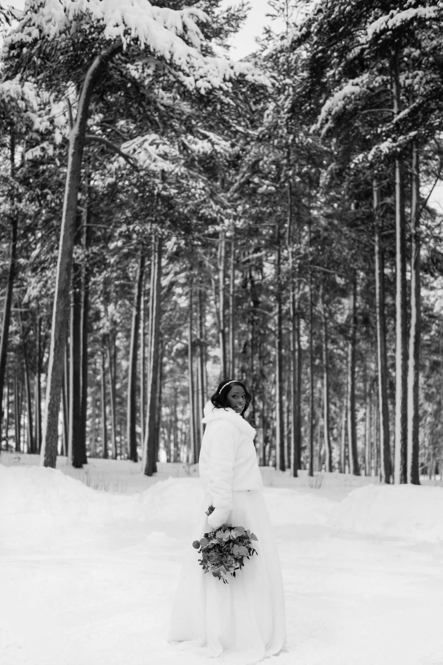 Snowy forest landscape with tall pine trees creating a dramatic winter scene.