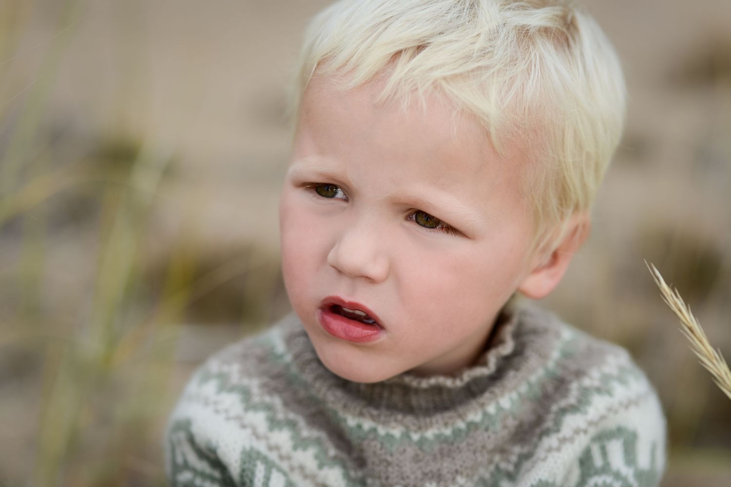 Blonde toddler boy in a Nordic sweater making a funny face outdoors in a natural setting.