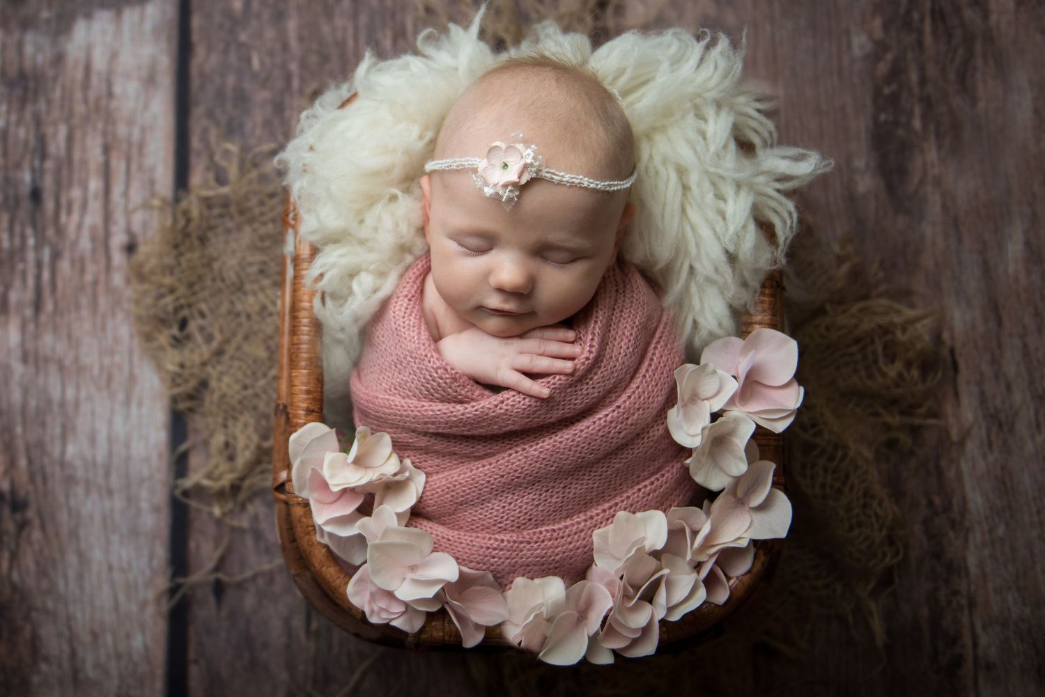 Artistic newborn portrait with pink wrap and white floral accents.