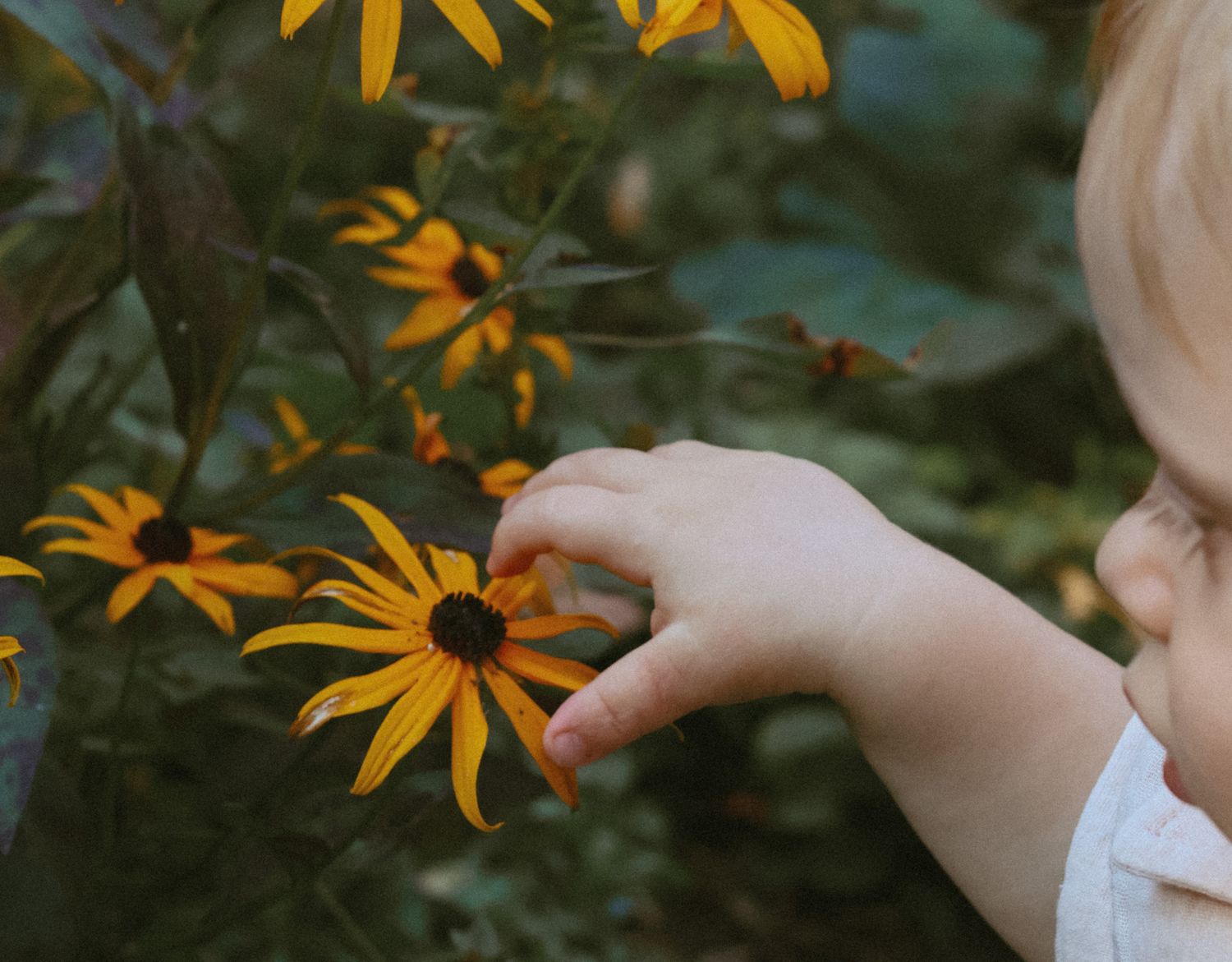 Natural-light lifestyle photography in Bloomington, MN..