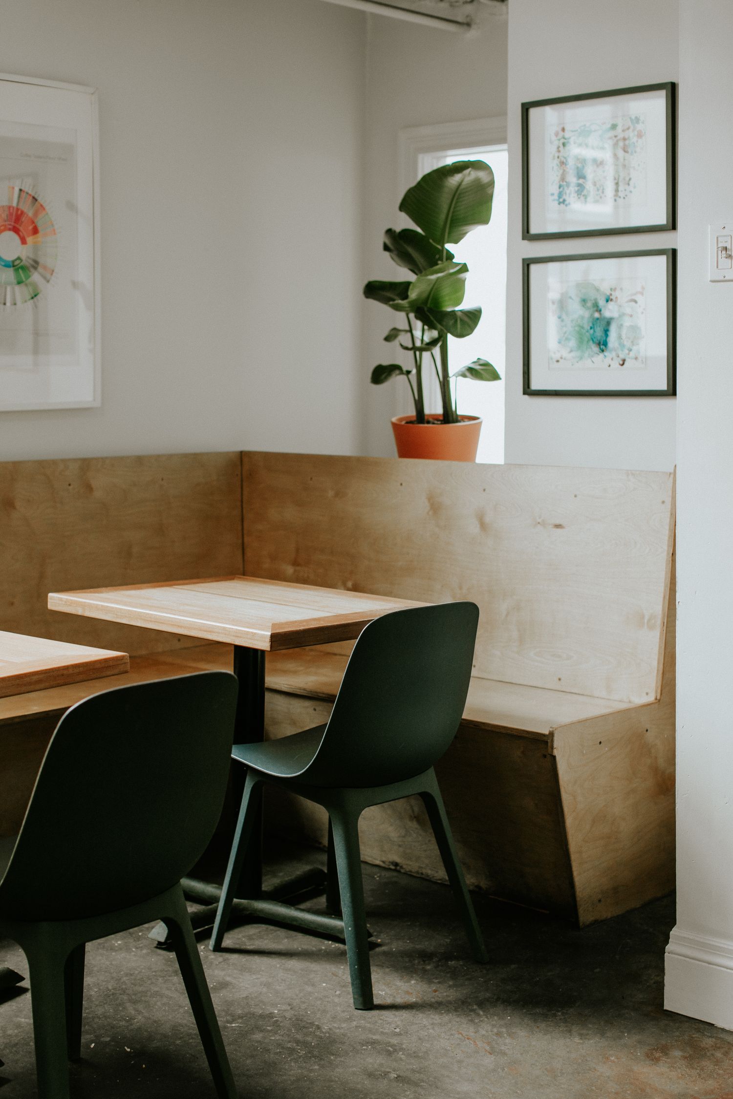 Minimalist cafe interior with wooden booth seating, dark green chairs, potted fiddle leaf fig and wall art.