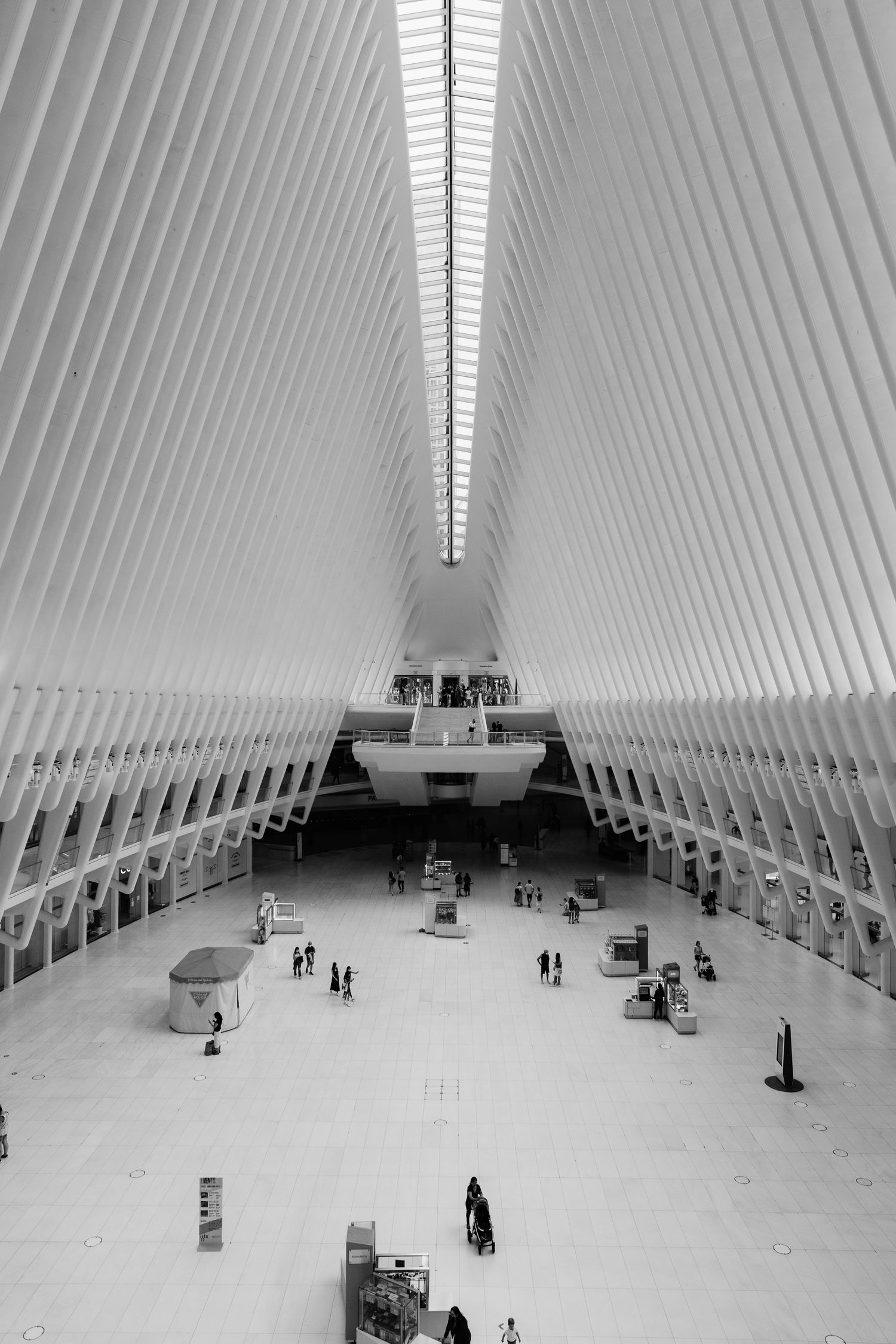Black and white interior view of the World Trade Center Oculus transportation hub in New York.