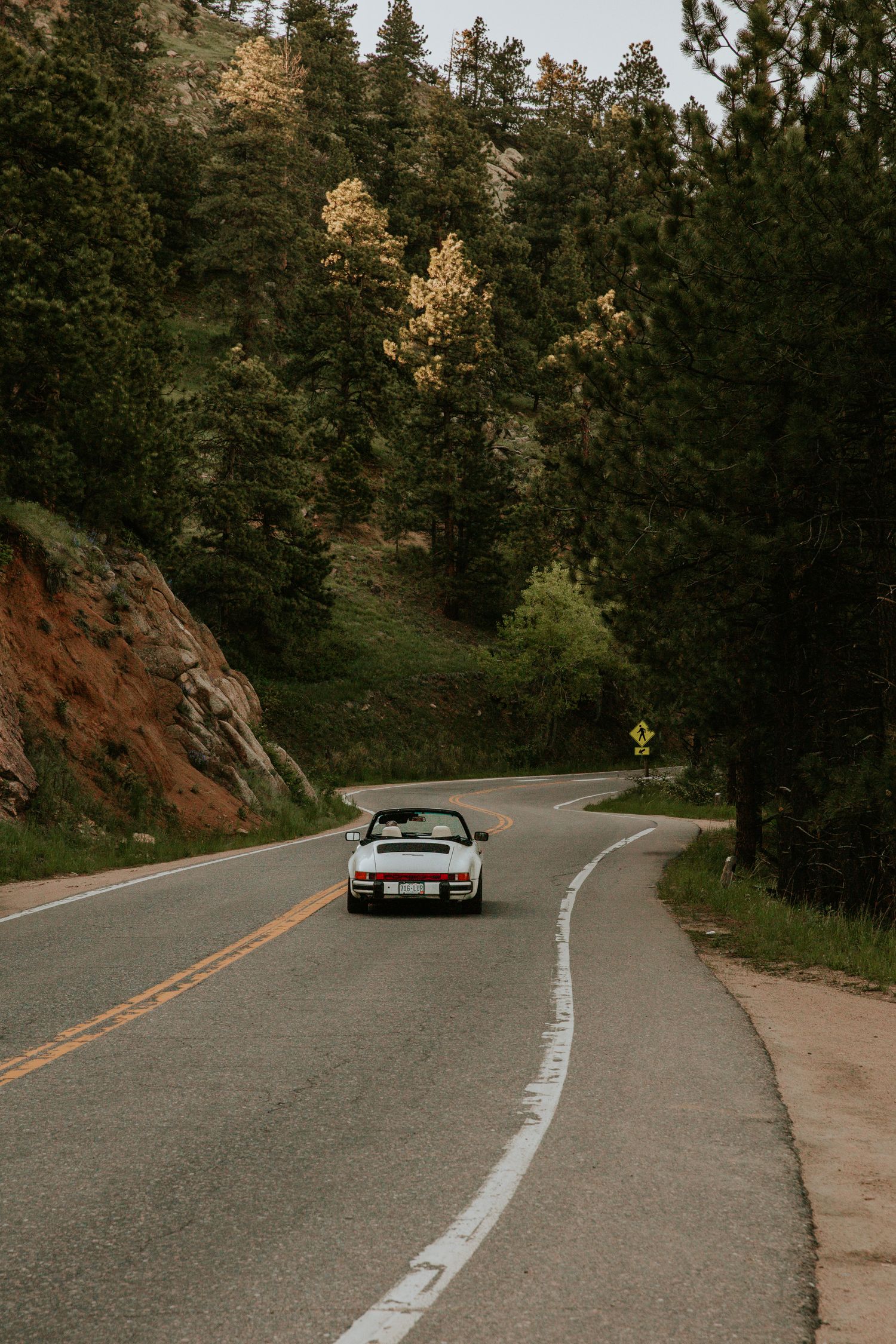 White classic Porsche 911 convertible driving along a winding mountain road through pine trees.