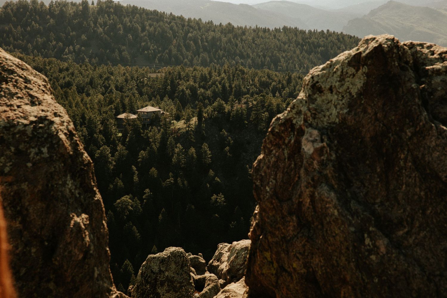 Rocky mountain outcrop framing a dense pine forest valley in golden hour light.