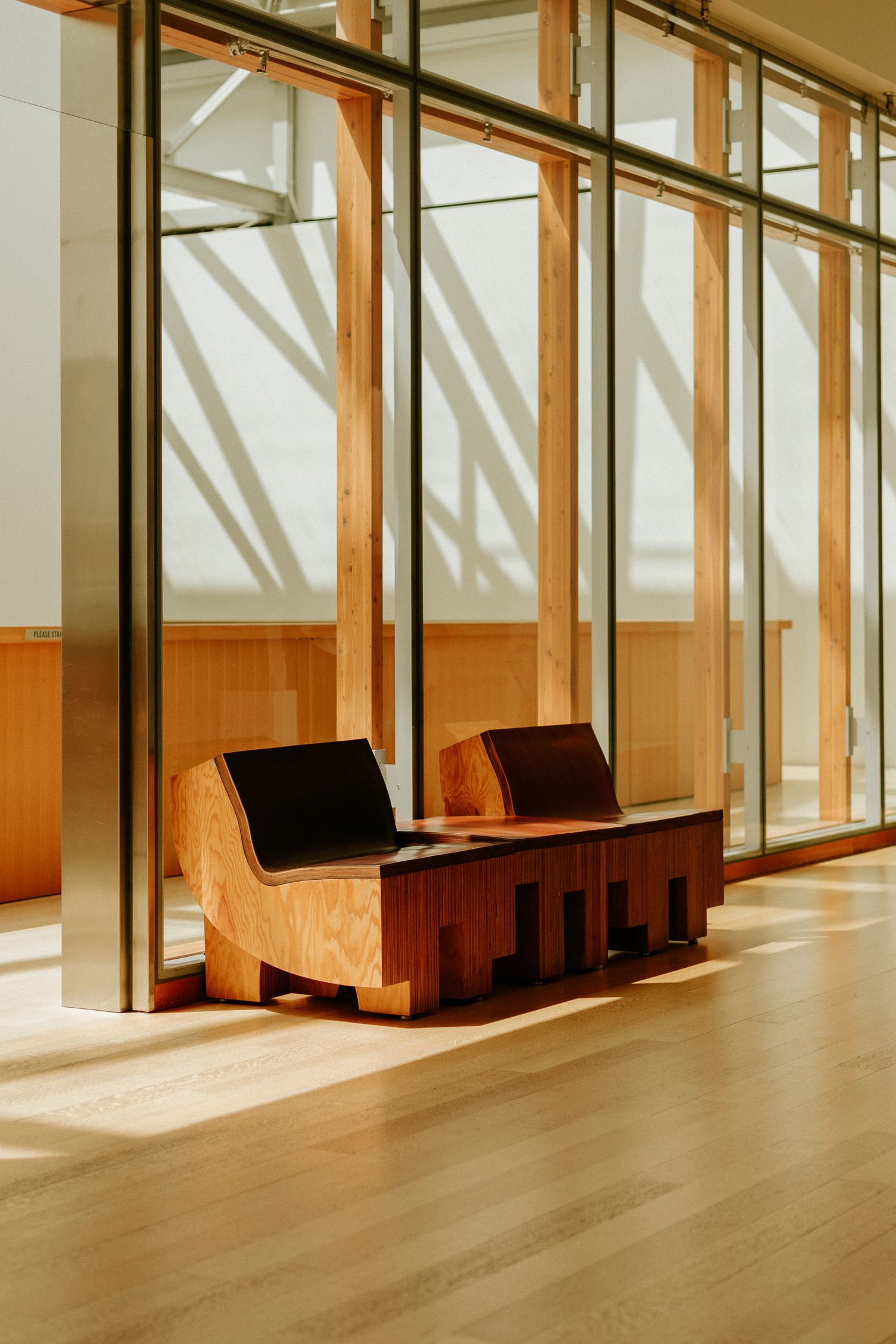 Two sculptural wooden chairs with curved backs casting shadows in a sunlit glass-walled lobby.