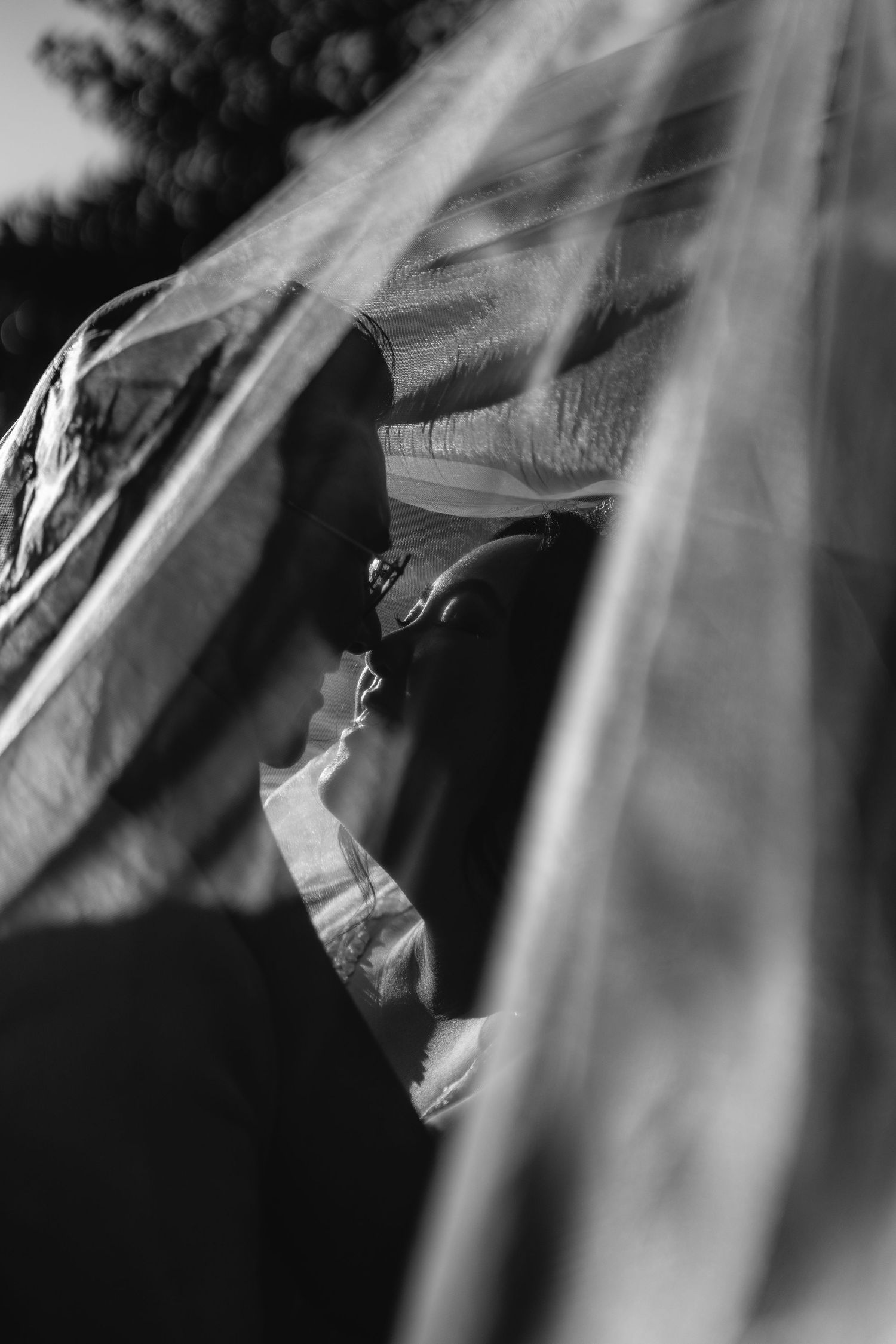 Black and white photo of a bride and groom sharing a kiss beneath a flowing wedding veil.