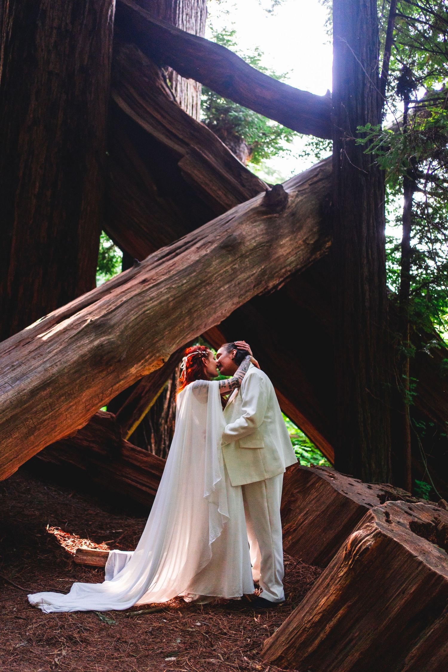 Couple kissing in wedding attire among giant redwood trees in a forest setting.
