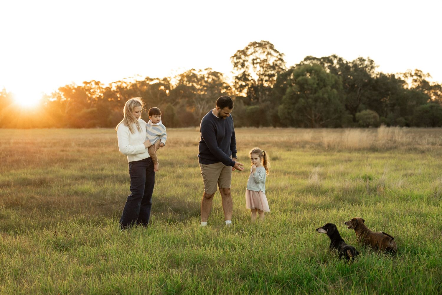 Family with two children and dogs enjoying a golden sunset walk in a green field surrounded by trees.