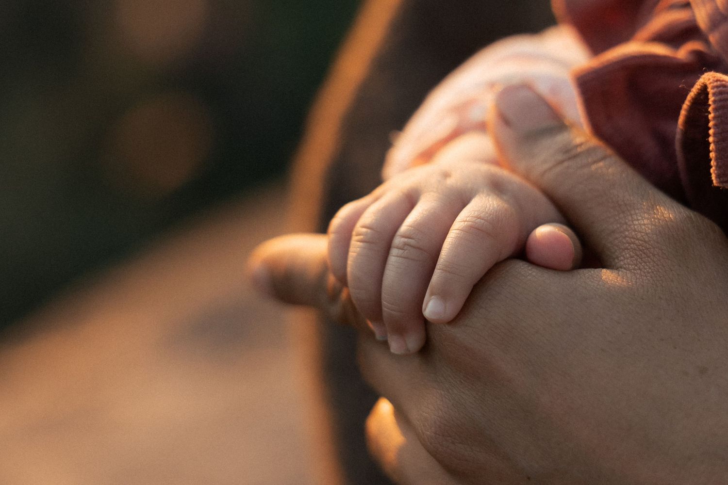 Close-up of a baby's tiny hand gently resting on an adult's hand, symbolizing love and family bond.