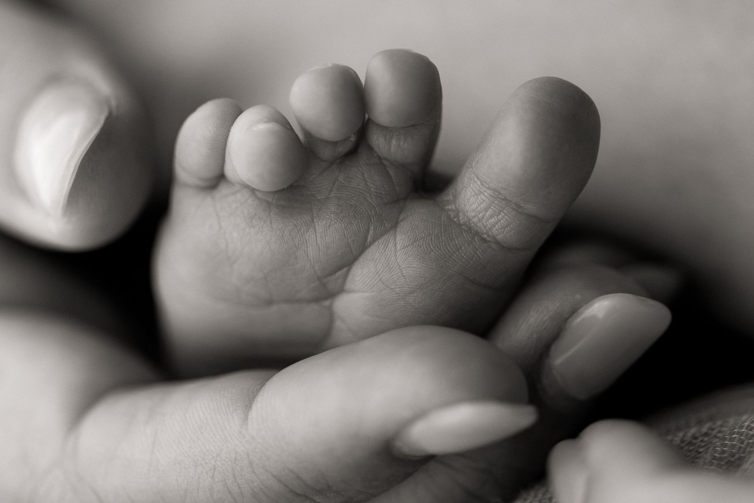 A close up macro detail photo of a newborn babies toes in mums hands