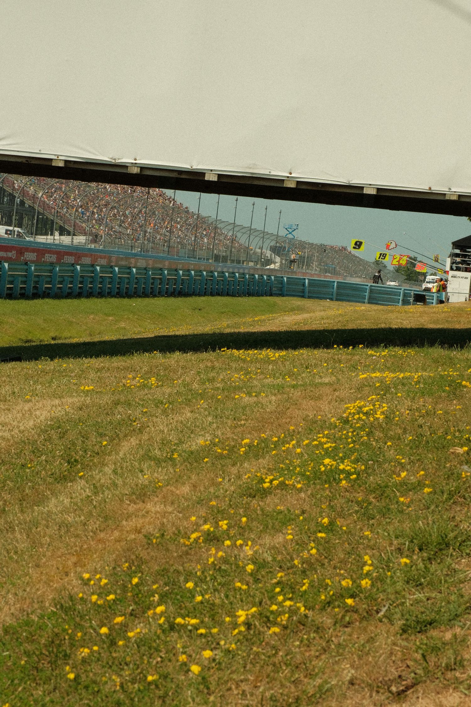Aerial view of a packed NASCAR racing stadium with grandstands full of fans, seen over a grassy field with yellow wildflowers.