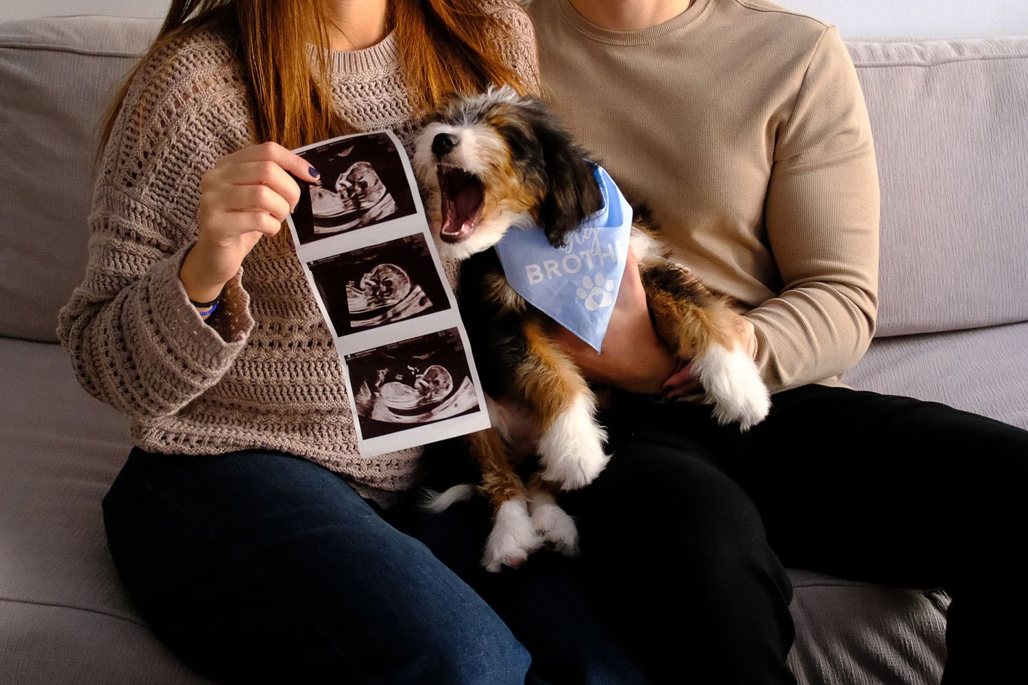 Couple sitting on couch holding ultrasound photos with excited dog wearing blue baby boy bandana for pregnancy announcement.