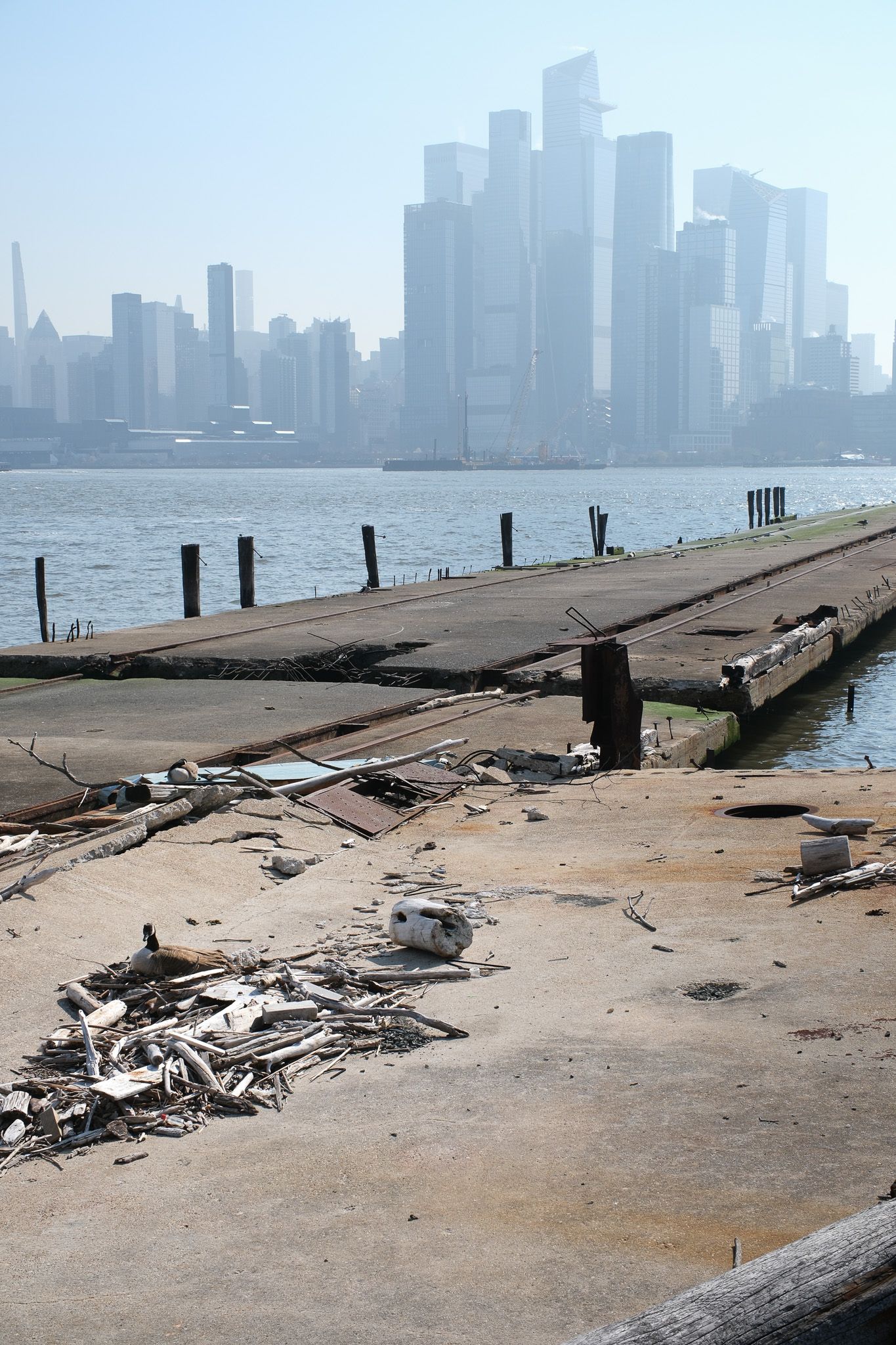 An abandoned deteriorating pier with a goose and debris in the foreground and the hazy Manhattan skyline behind from Hoboken, NJ.