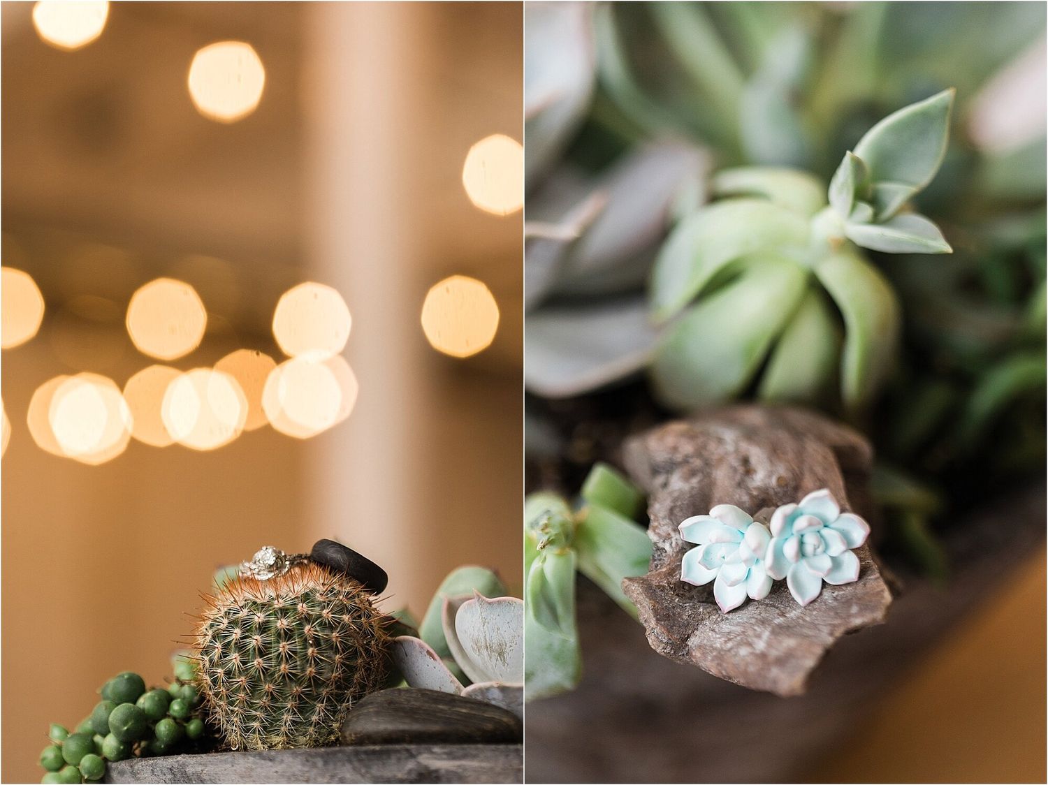 Wedding rings displayed on textured surfaces with succulent plants and bokeh lighting effects.