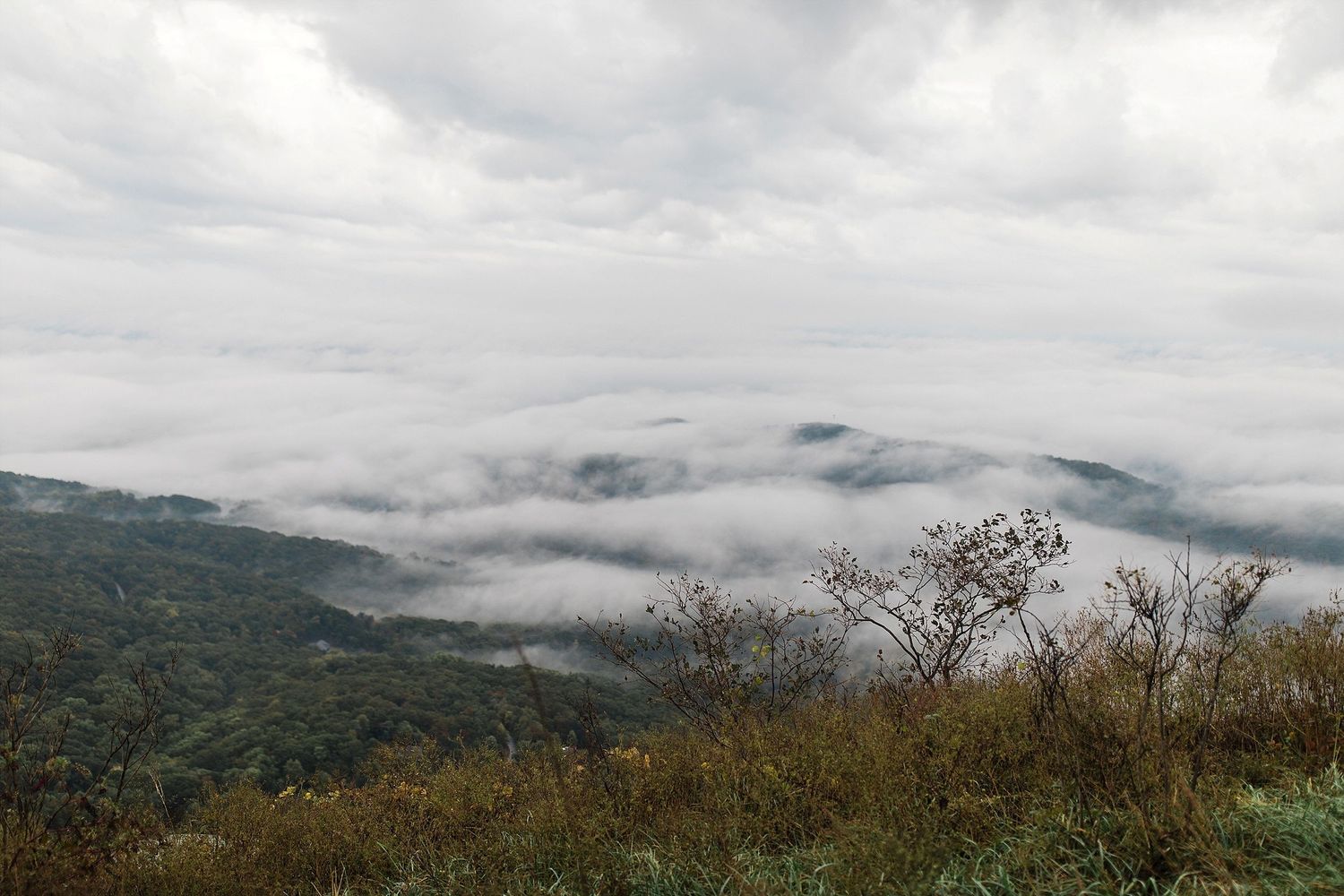 Rainy day mountain view
