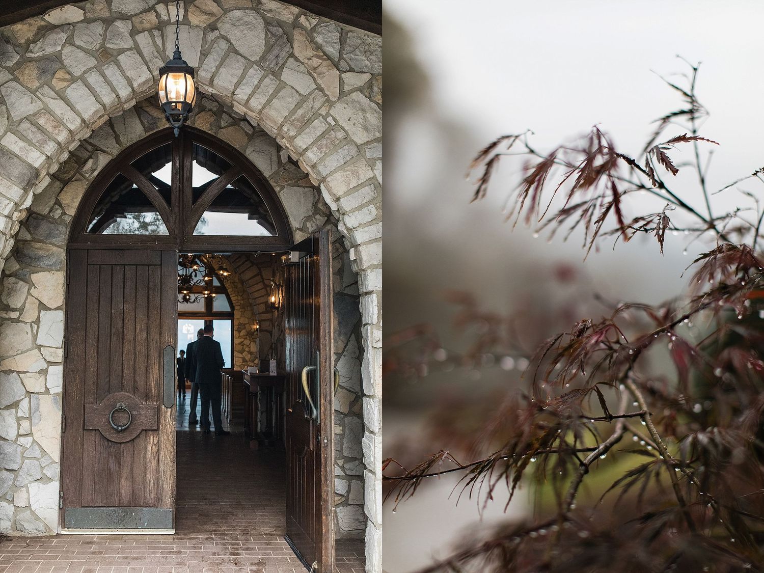 Details in and around the Cliffs at Glassy Chapel
