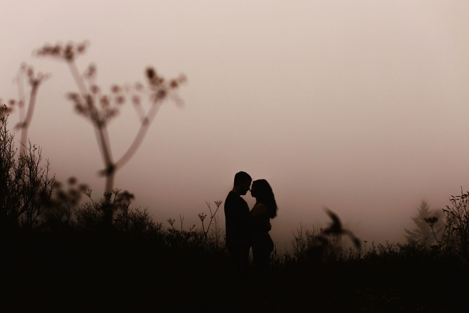 A silhouetted couple embraces against a dramatic sunset sky with trees in the background.