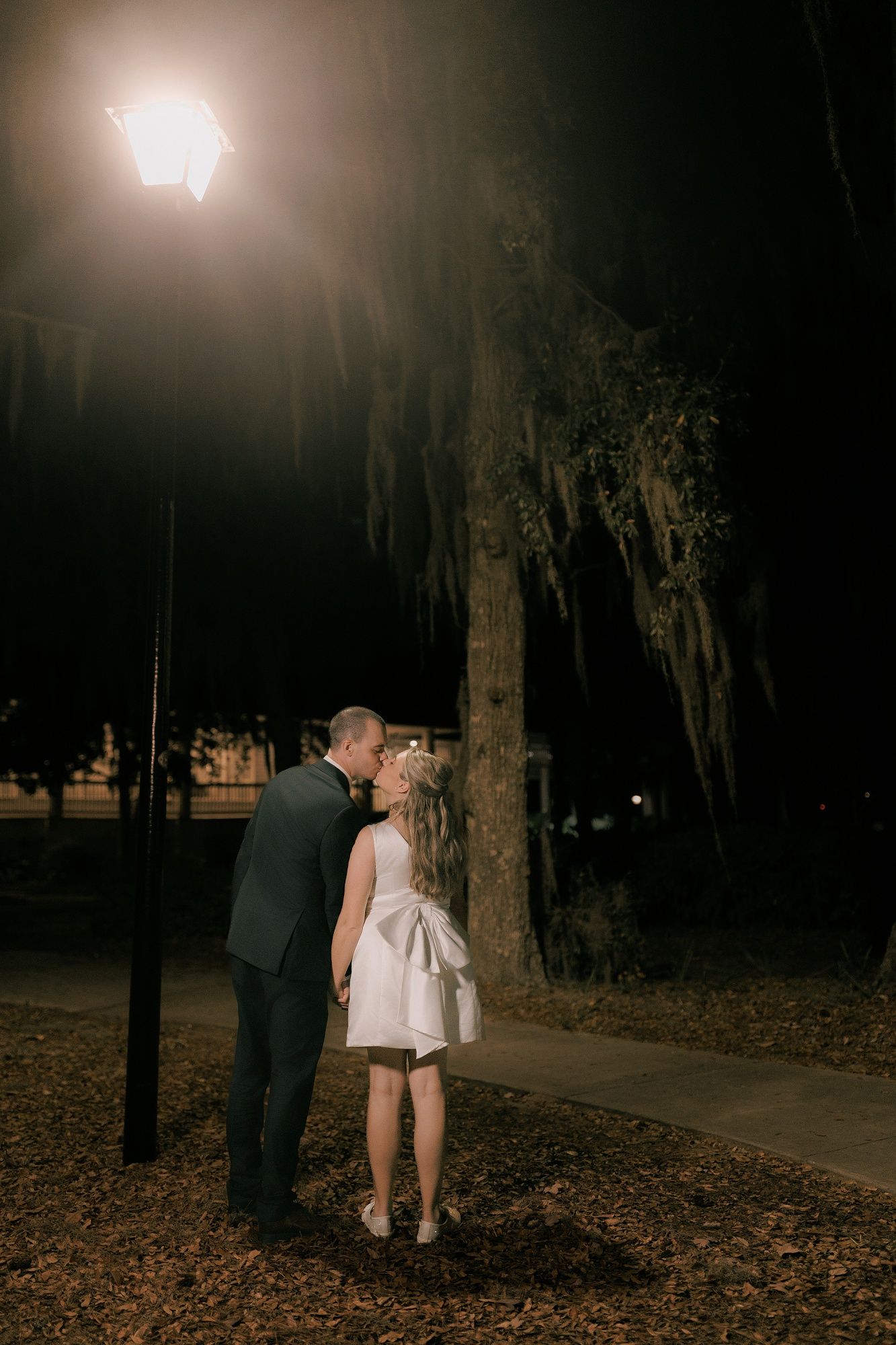 A romantic nighttime scene under Spanish moss with a streetlight glowing above.