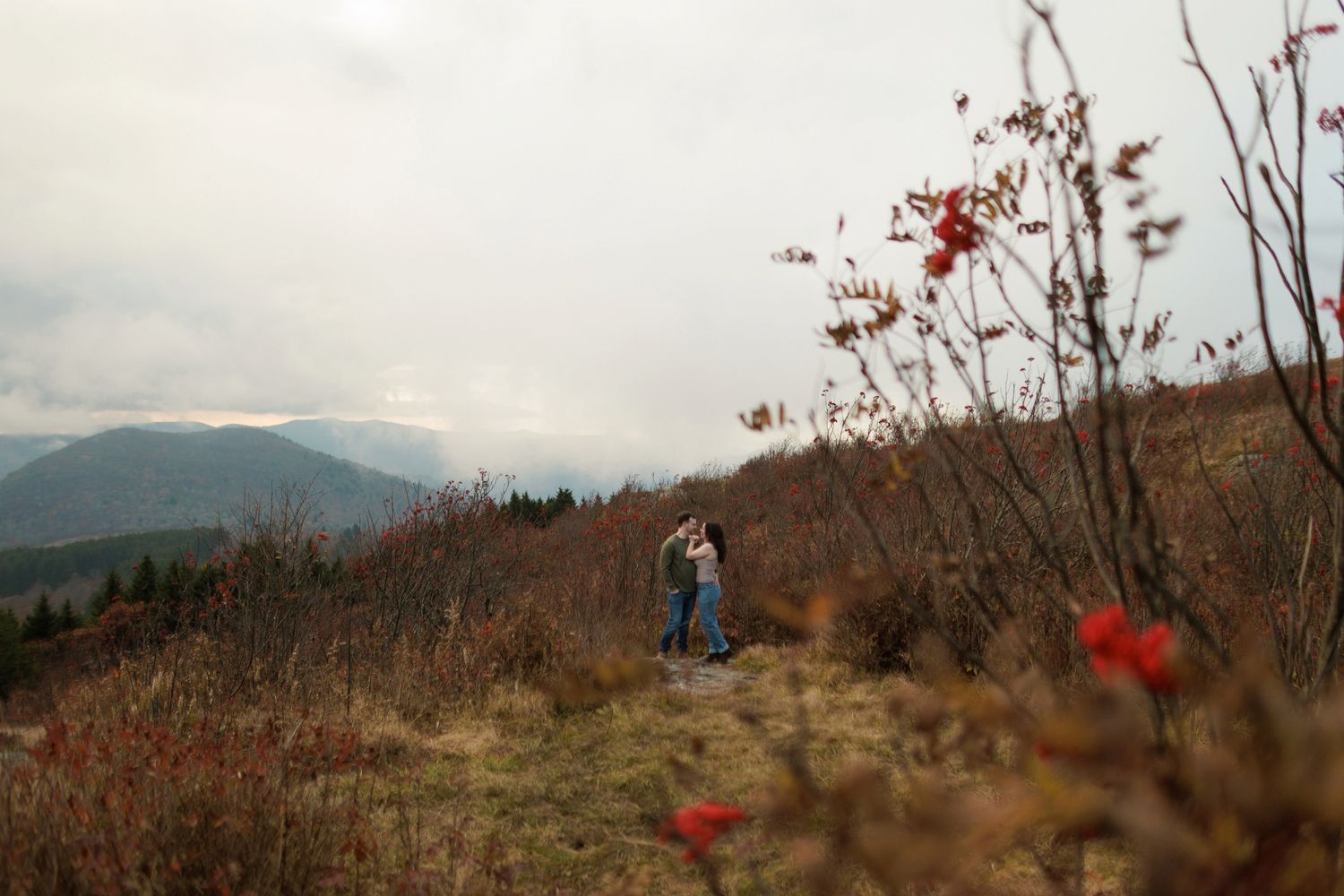 Hikers walk along a scenic mountain ridge trail during autumn with red berries in the foreground.