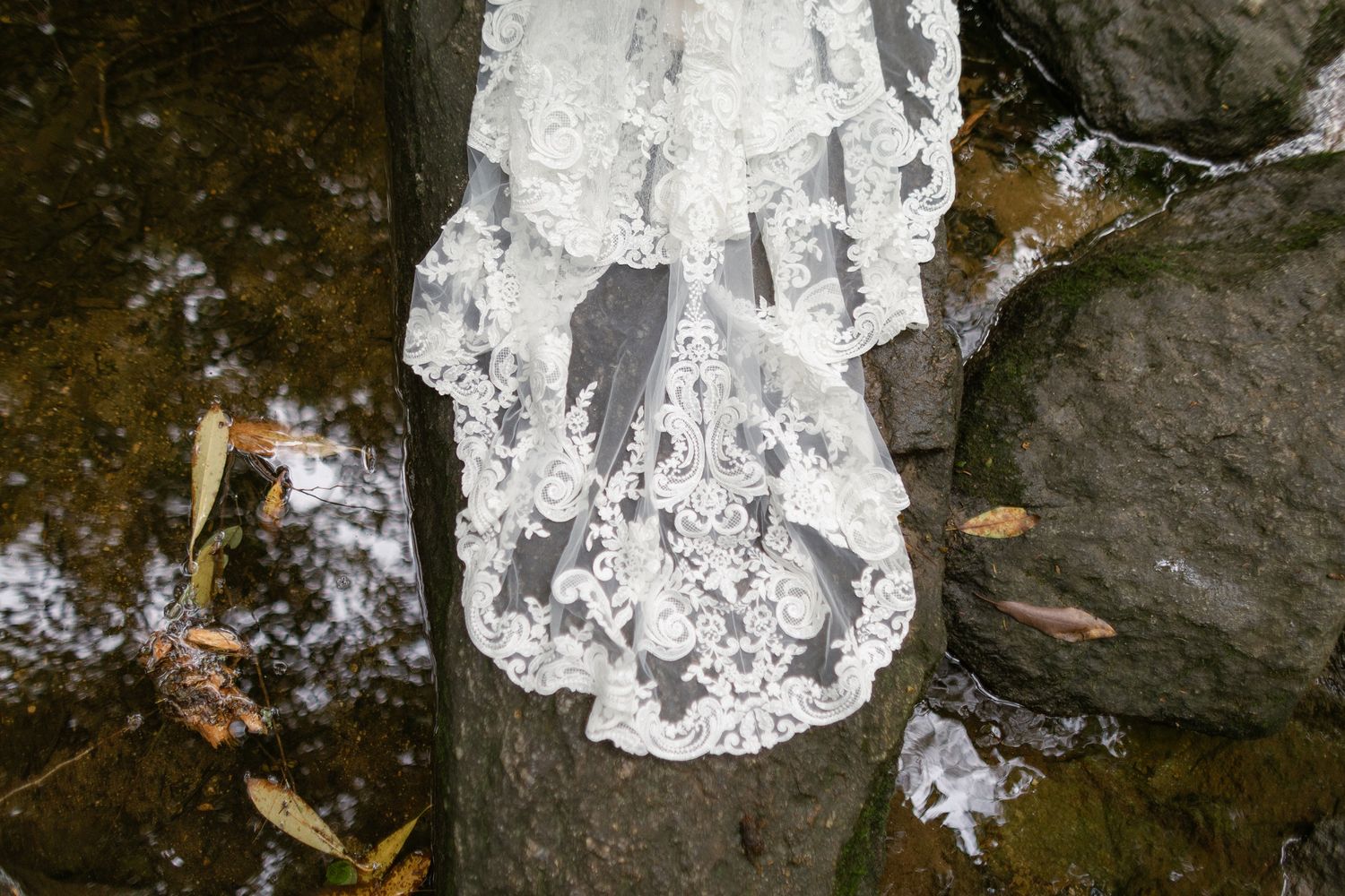 A jagged white chalk formation contrasts against dark rock with scattered brown leaves on the ground.