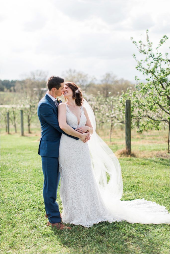 A romantic wedding portrait in a spring orchard with white blossoms and green grass.