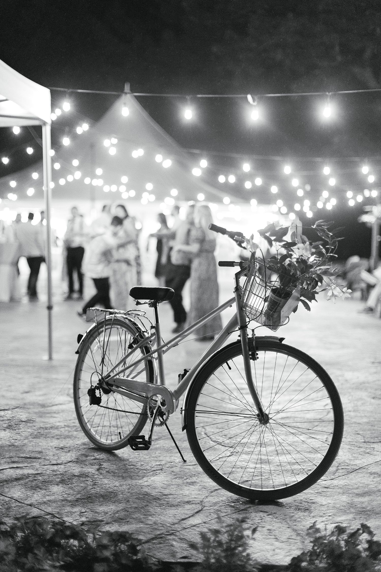 Vintage bicycle with flower basket parked under string lights at outdoor event.