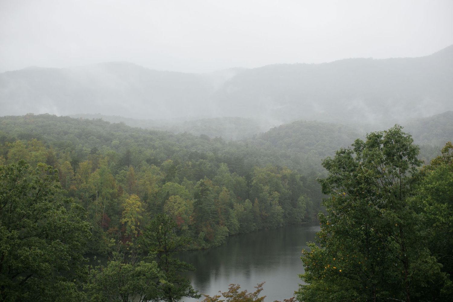 Misty mountains and dense forest surround a calm lake on an overcast day in the wilderness.