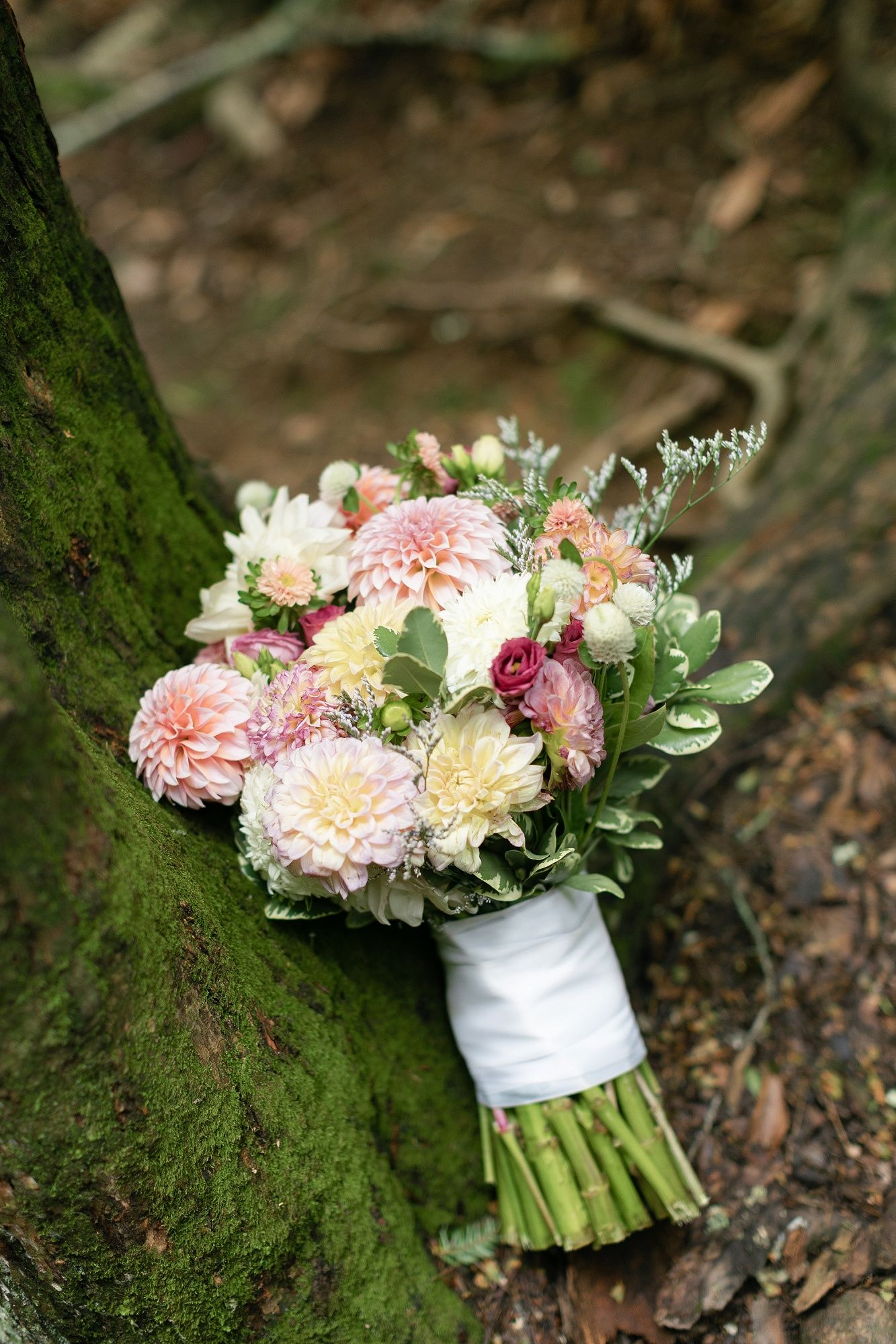 A beautiful bridal bouquet with pink and cream dahlias rests against a mossy tree trunk.