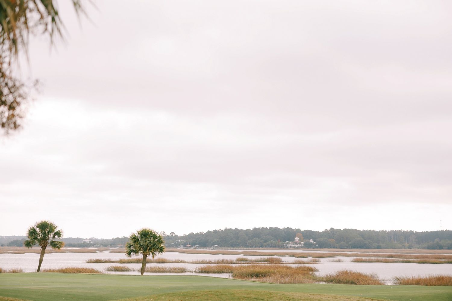 Palm trees line a serene coastal landscape with water and marshland views.