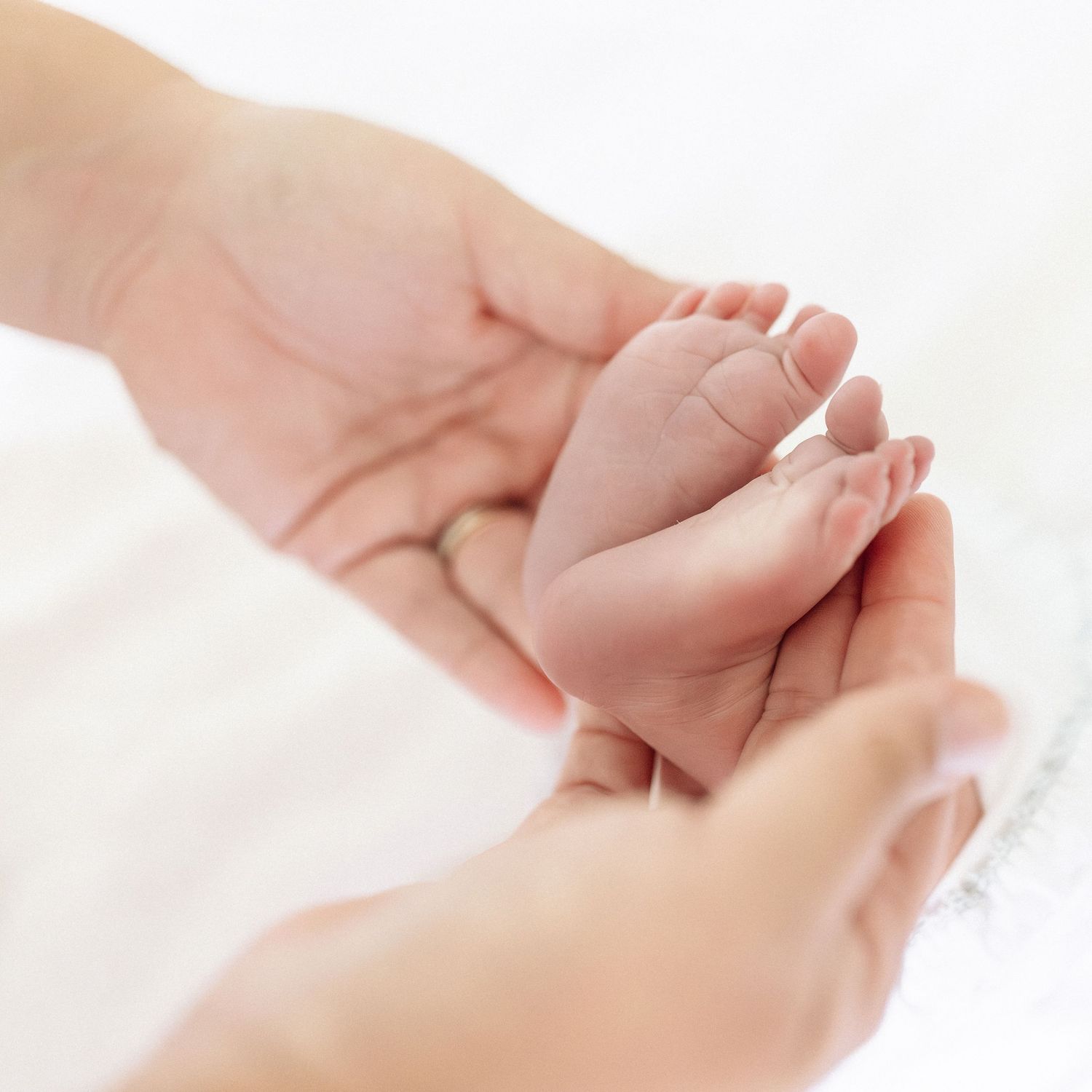 Adult hands gently cradling tiny newborn baby feet, symbolizing love and new parenthood.