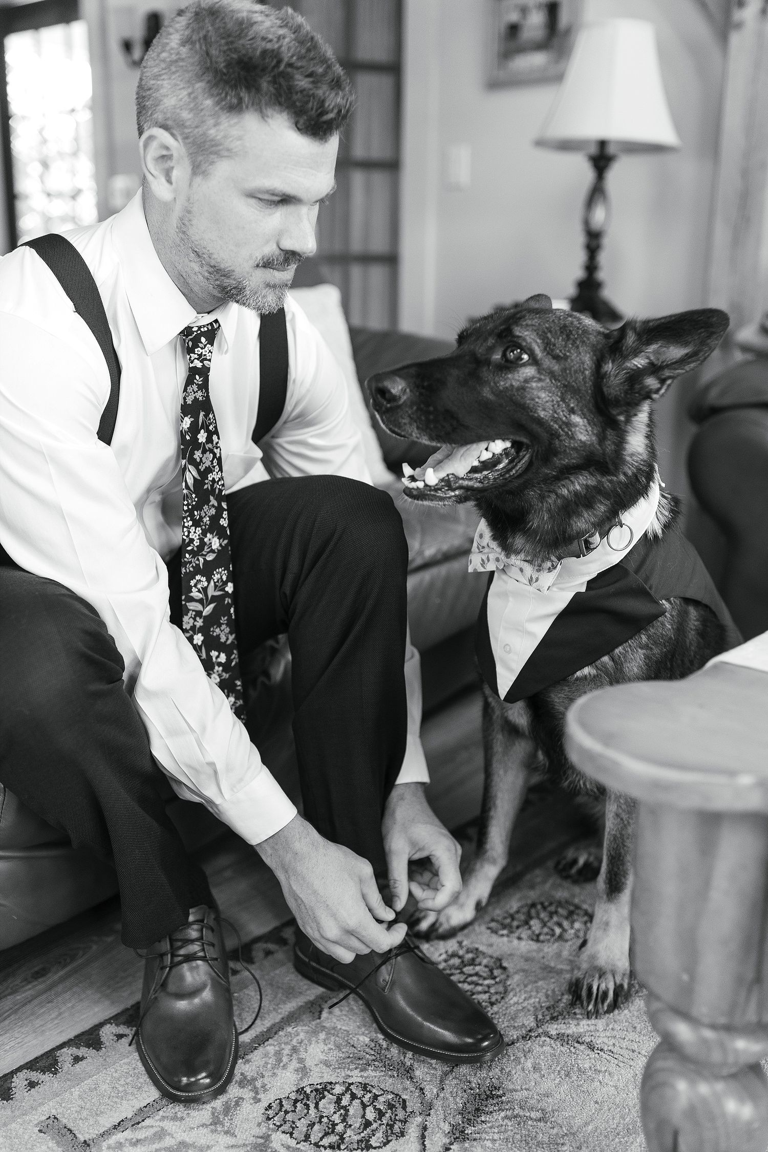 Man in formal attire tying shoes while sitting with German Shepherd.