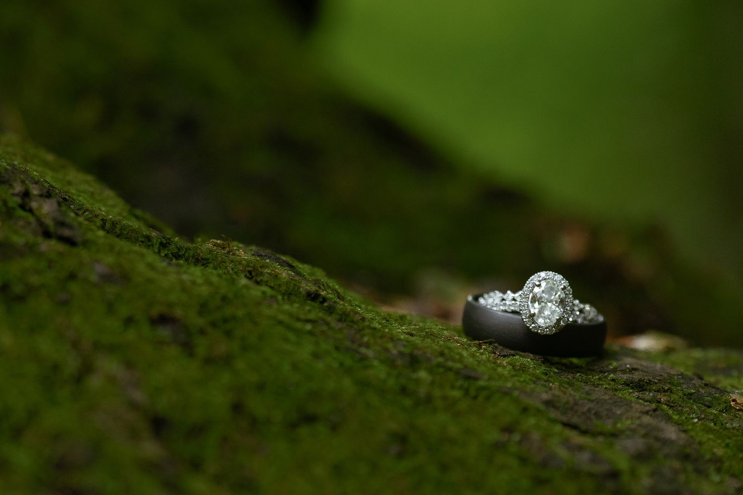 A sparkling diamond engagement ring rests delicately on green moss in a natural outdoor setting.