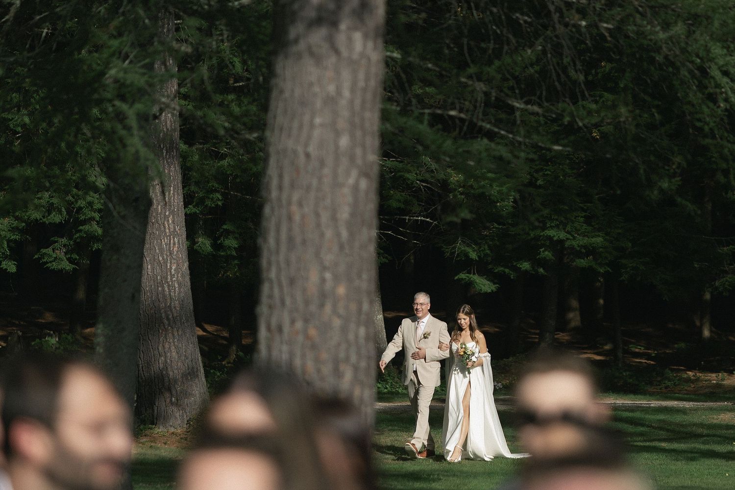 A wedding ceremony takes place in a serene forest setting with tall trees providing a natural backdrop.
