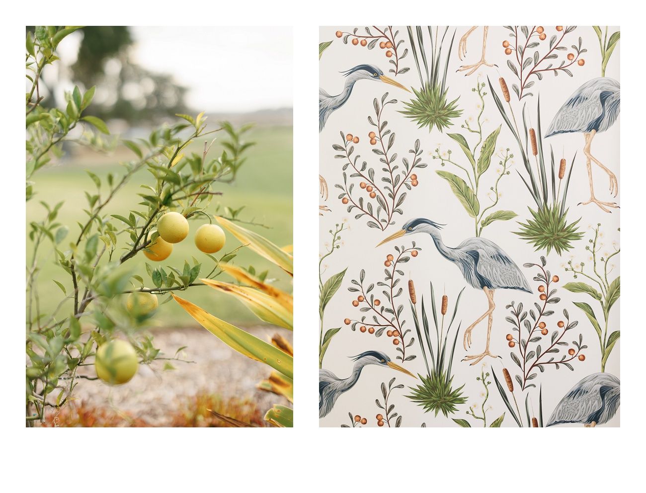 Decorative wallpaper pattern featuring blue herons and botanical elements in muted earth tones.