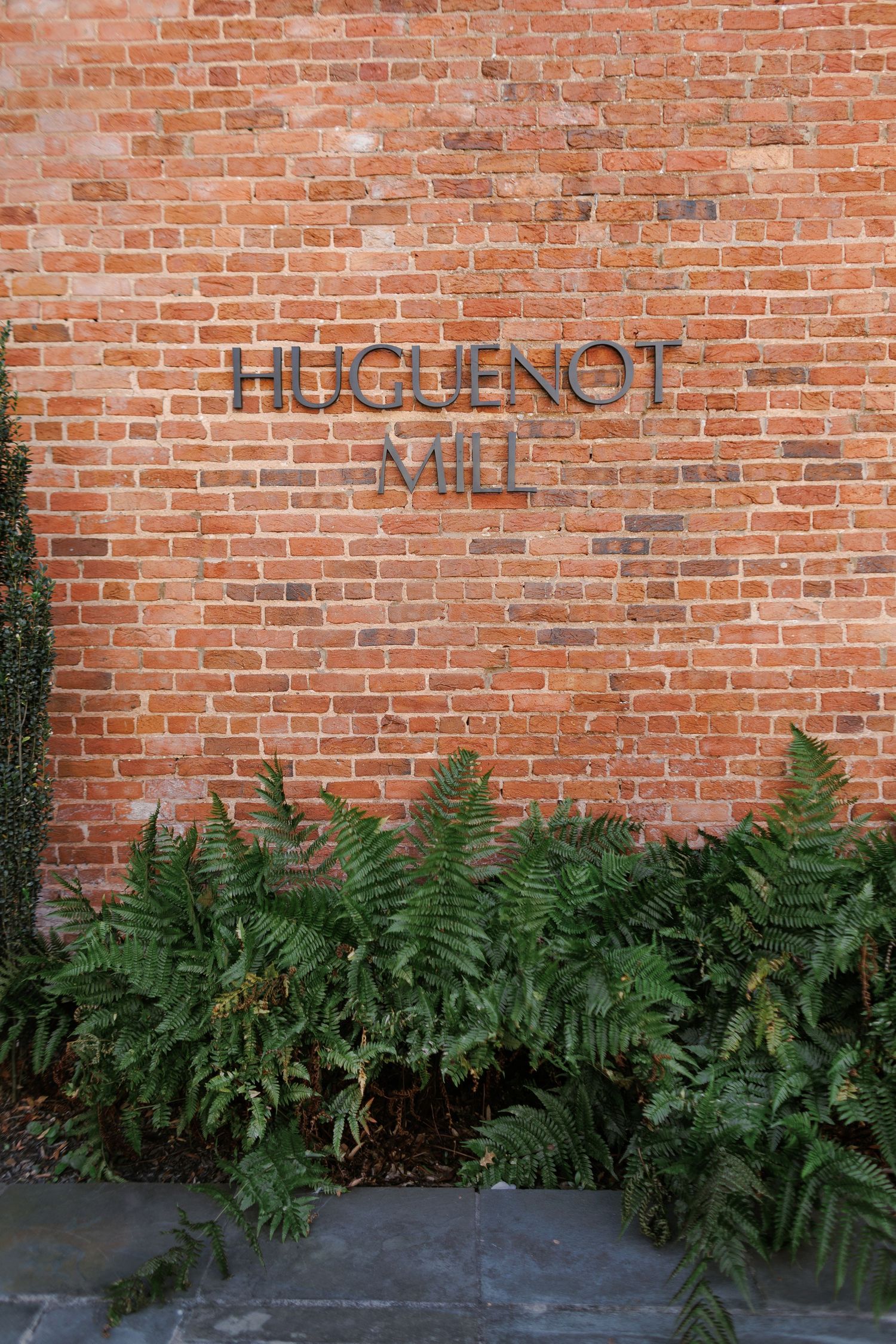 Huguenot Mill sign mounted on a classic red brick wall surrounded by lush green ferns.