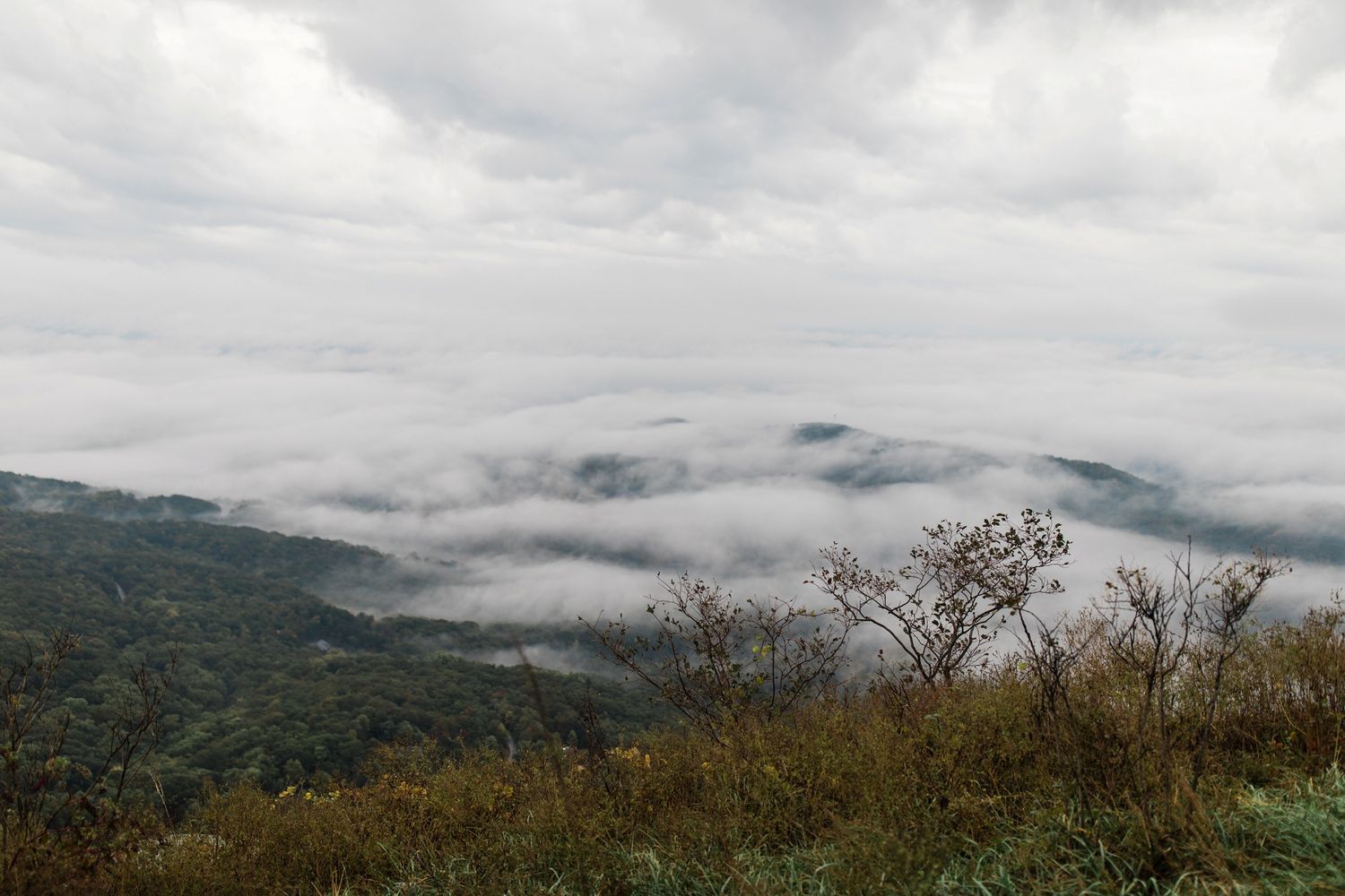 Aerial view of misty mountain landscape with low clouds rolling over lush green hills under overcast sky.