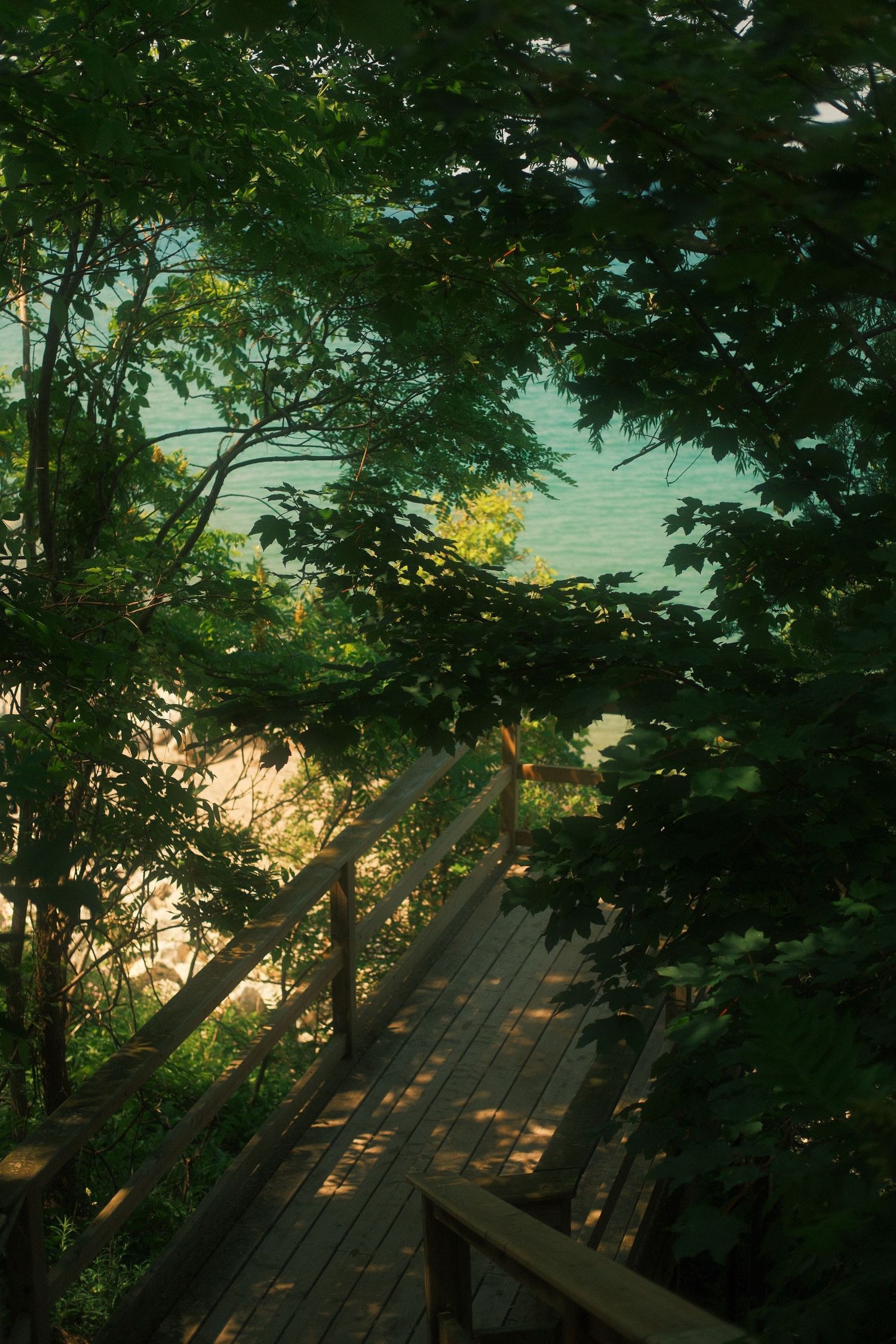 Sunlight filters through dense green trees onto a wooden boardwalk staircase leading down toward a turquoise lake.