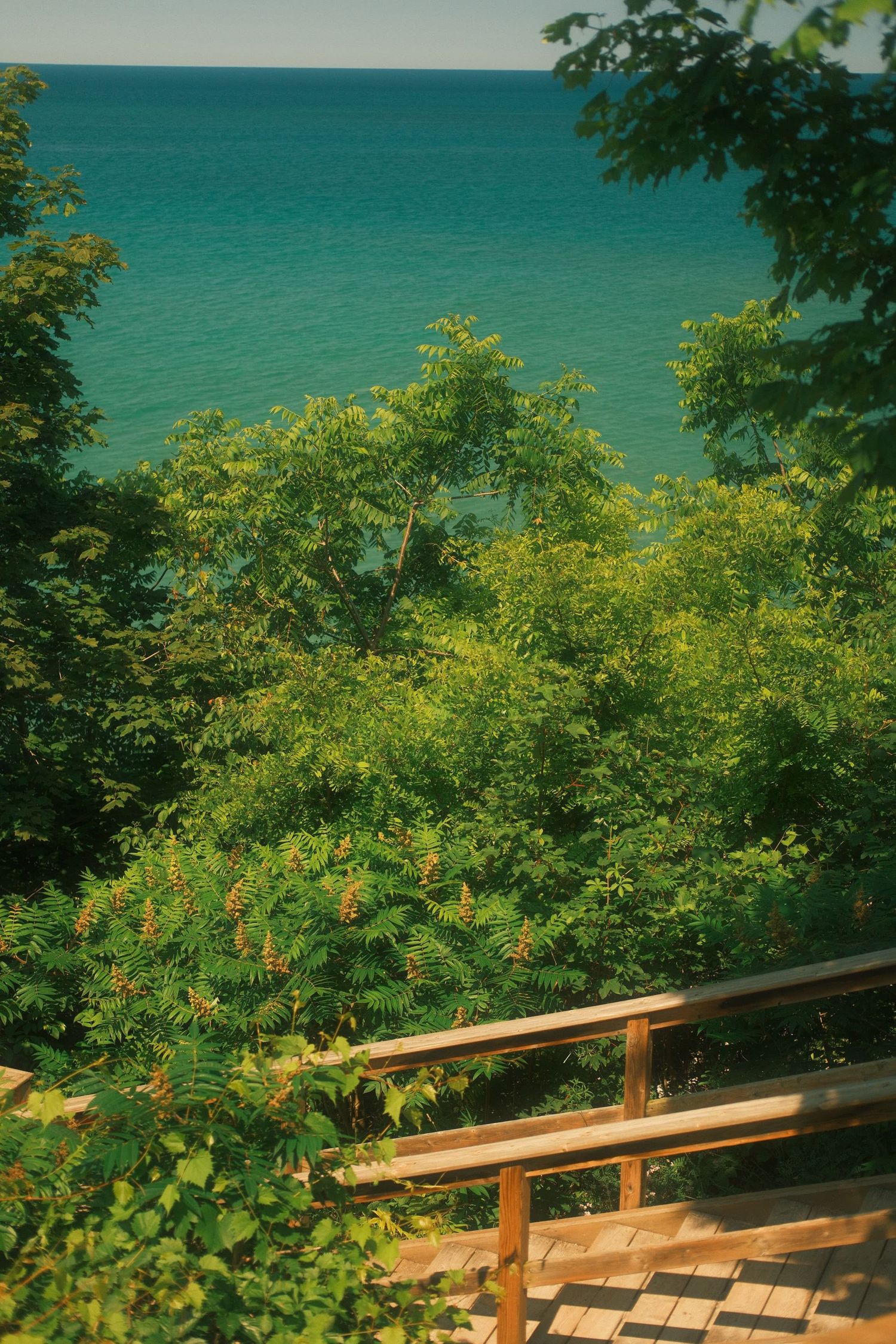A wooden staircase railing leads down through vibrant green trees toward a stunning turquoise blue lake below.