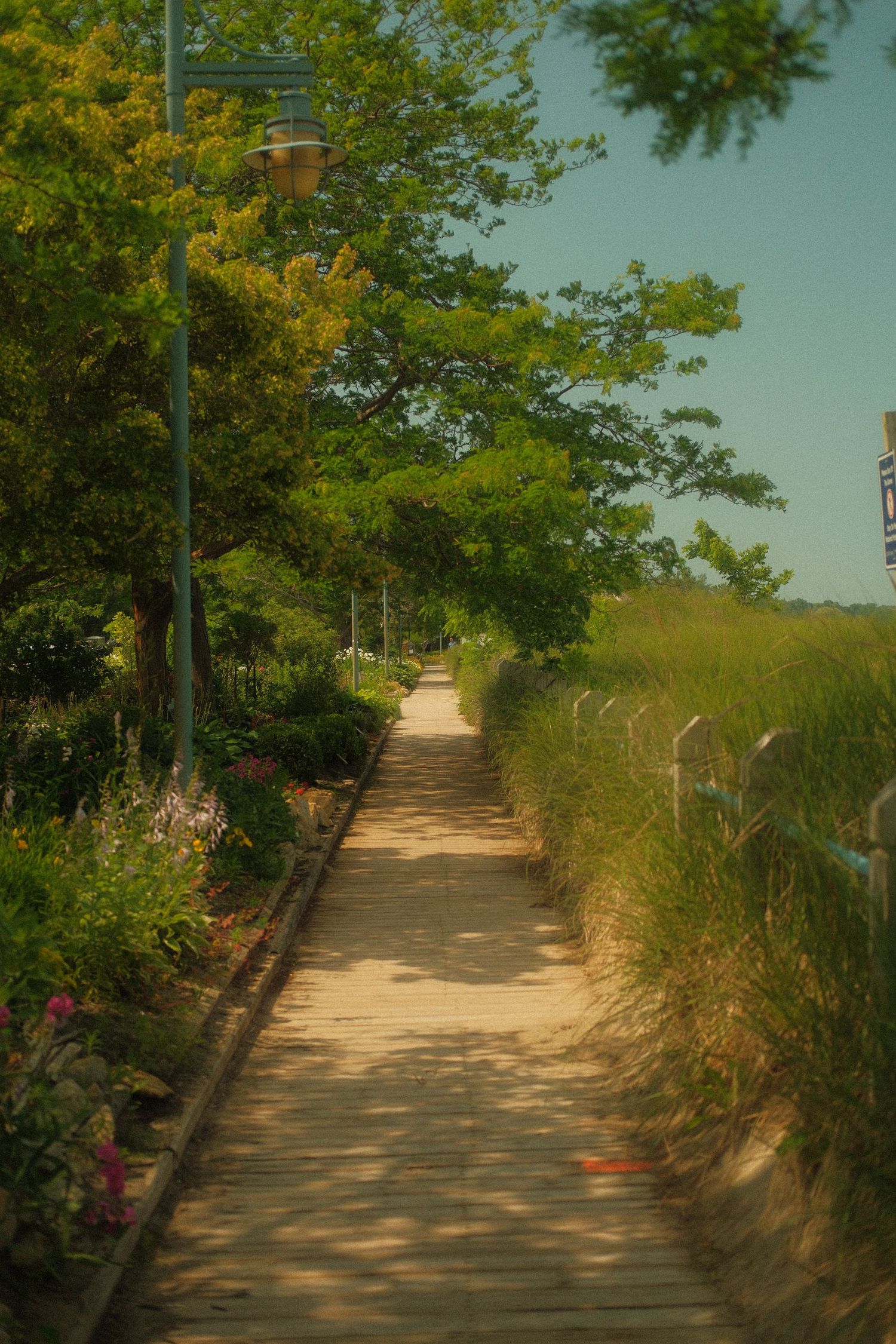 A scenic wooden boardwalk path lined with green trees, flowers, and a lamppost leads toward a bright blue sky.