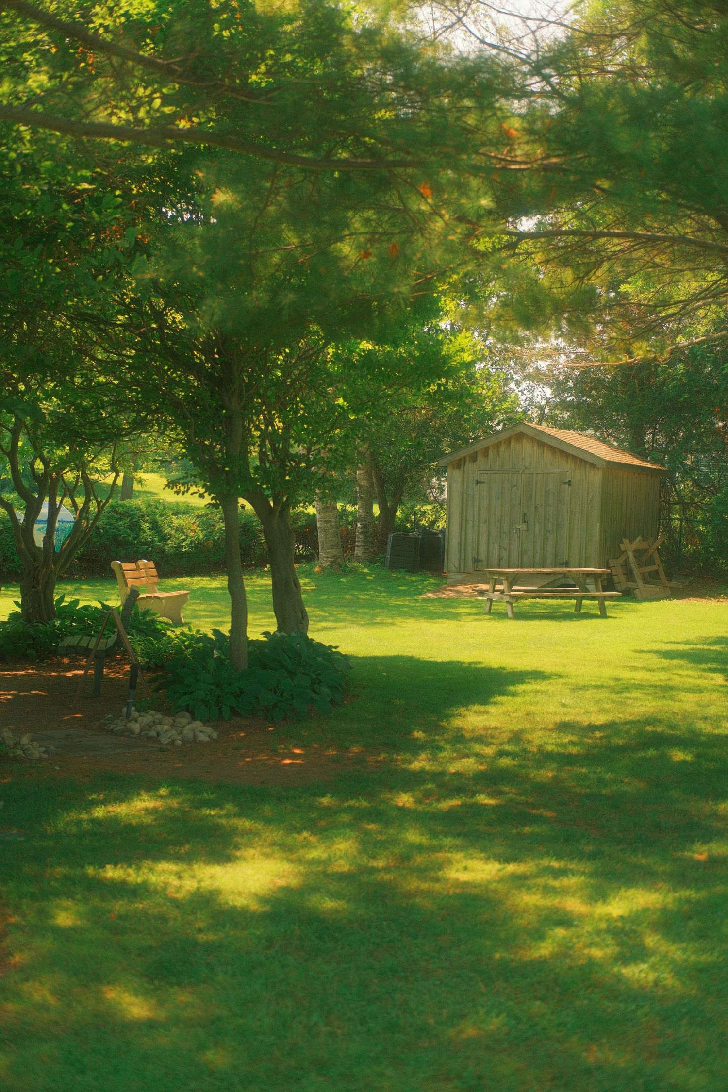 Sunlit backyard with lush green trees, wooden shed, and picnic bench on grass.