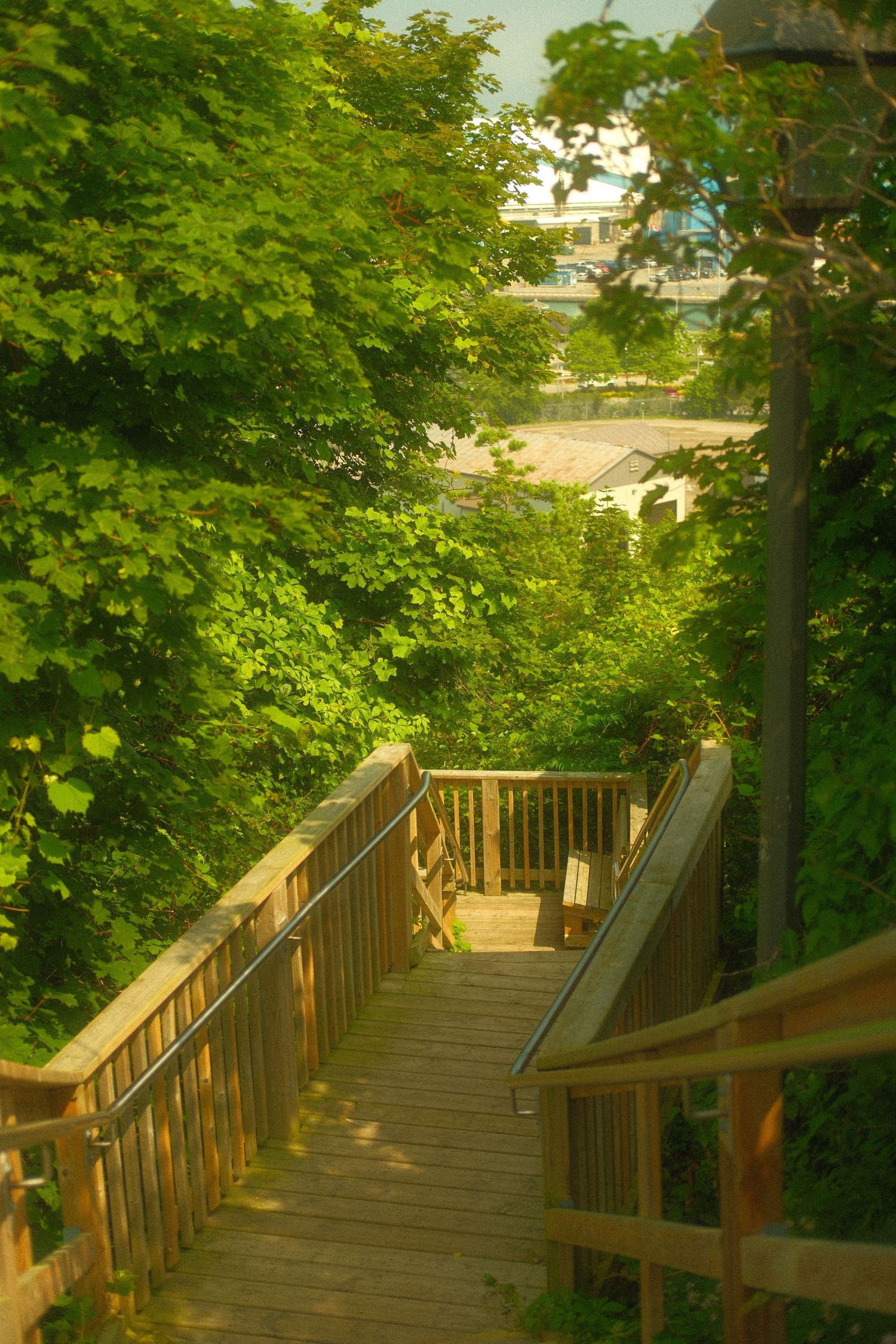 Wooden staircase with metal railings descending through lush green trees toward a waterfront.
