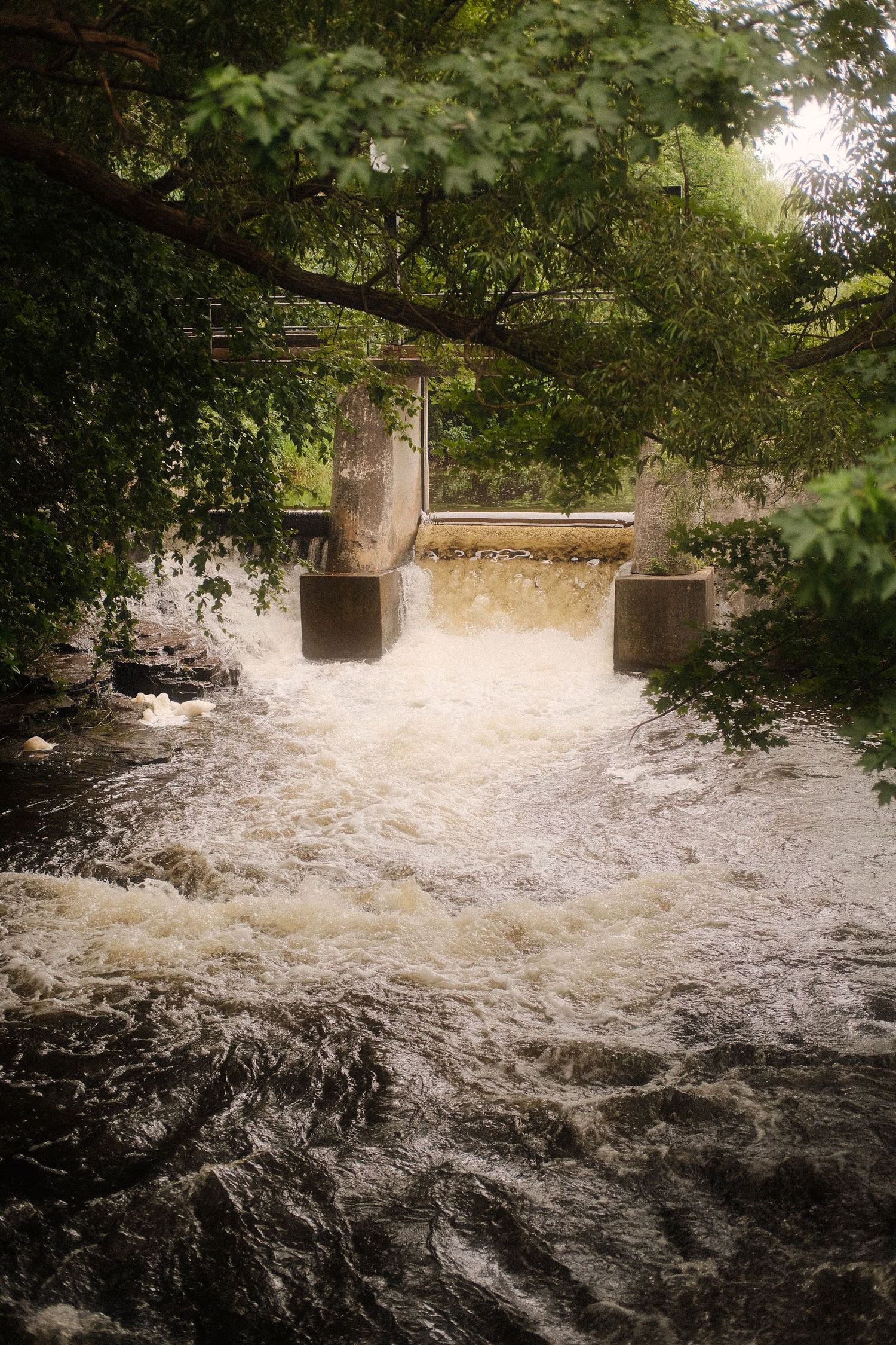 Rushing brown floodwater flowing through a concrete dam structure surrounded by green trees.