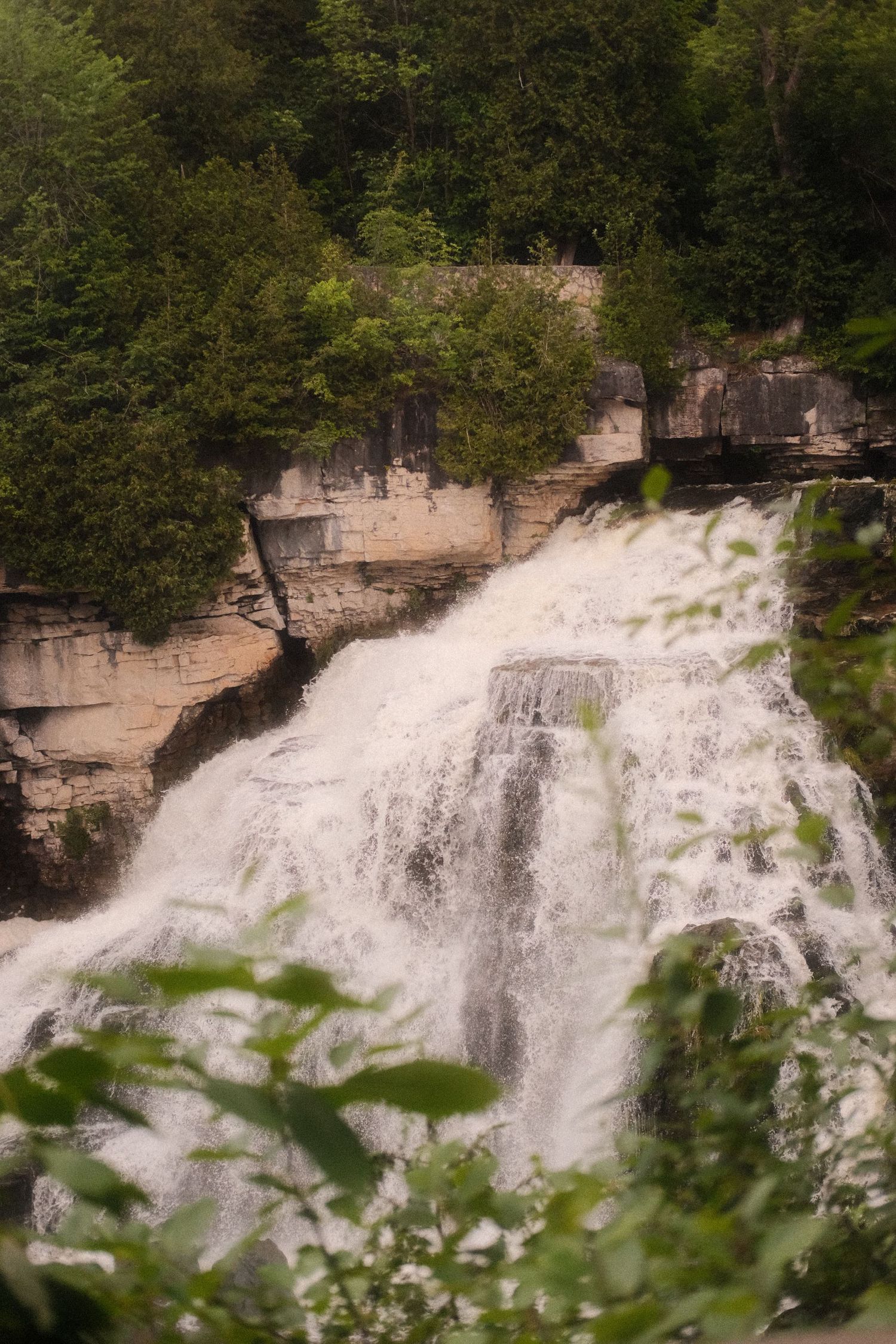A dramatic waterfall rushes over layered limestone cliffs framed by lush green trees and foreground foliage.