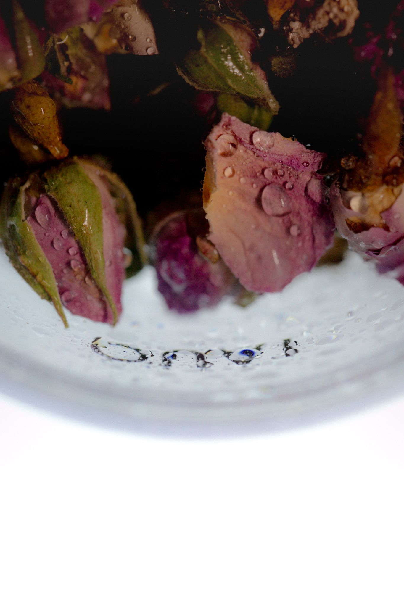 Dried pink rose buds with water droplets in a glass jar on white background.